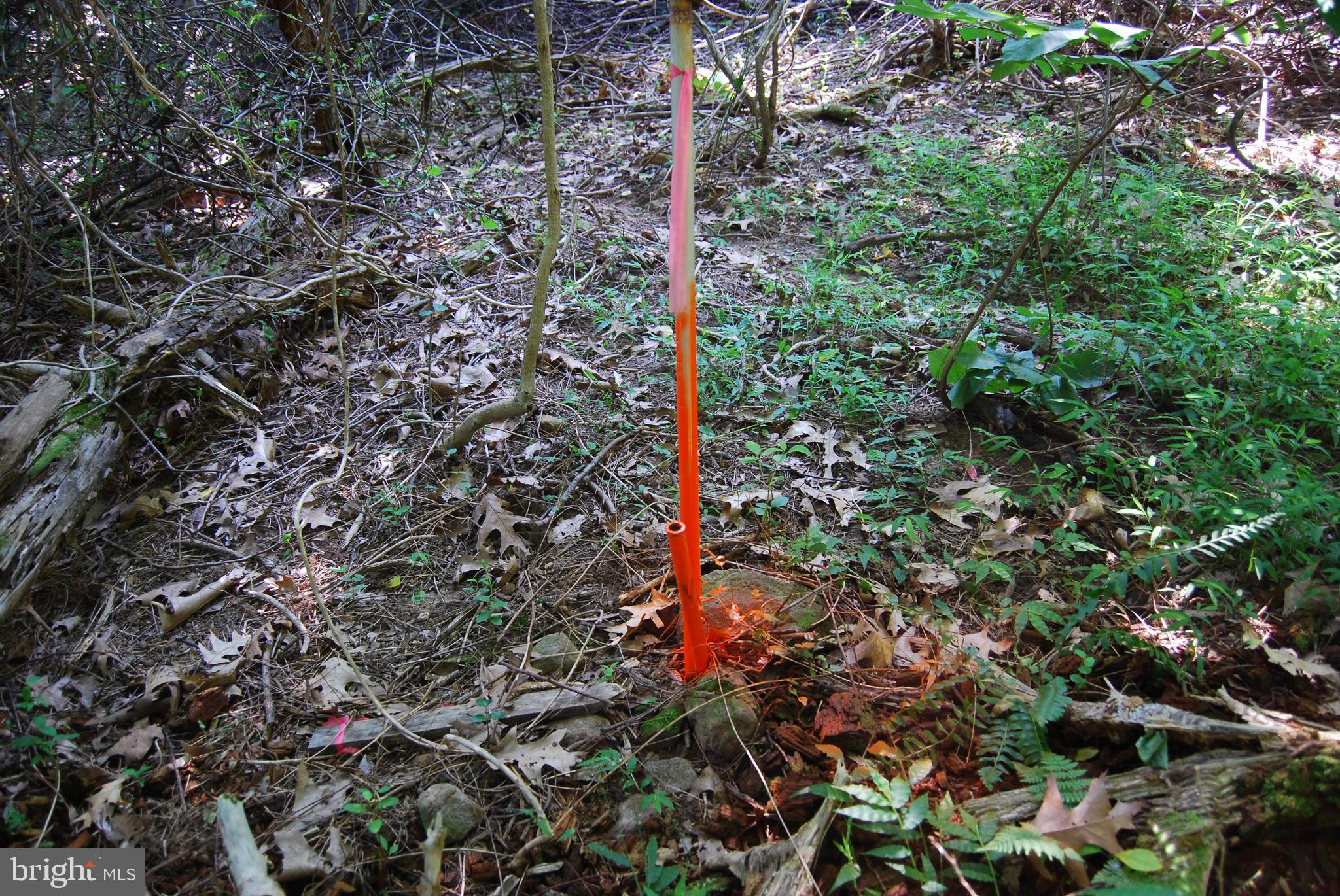 JOHN BROWN FARM - Land