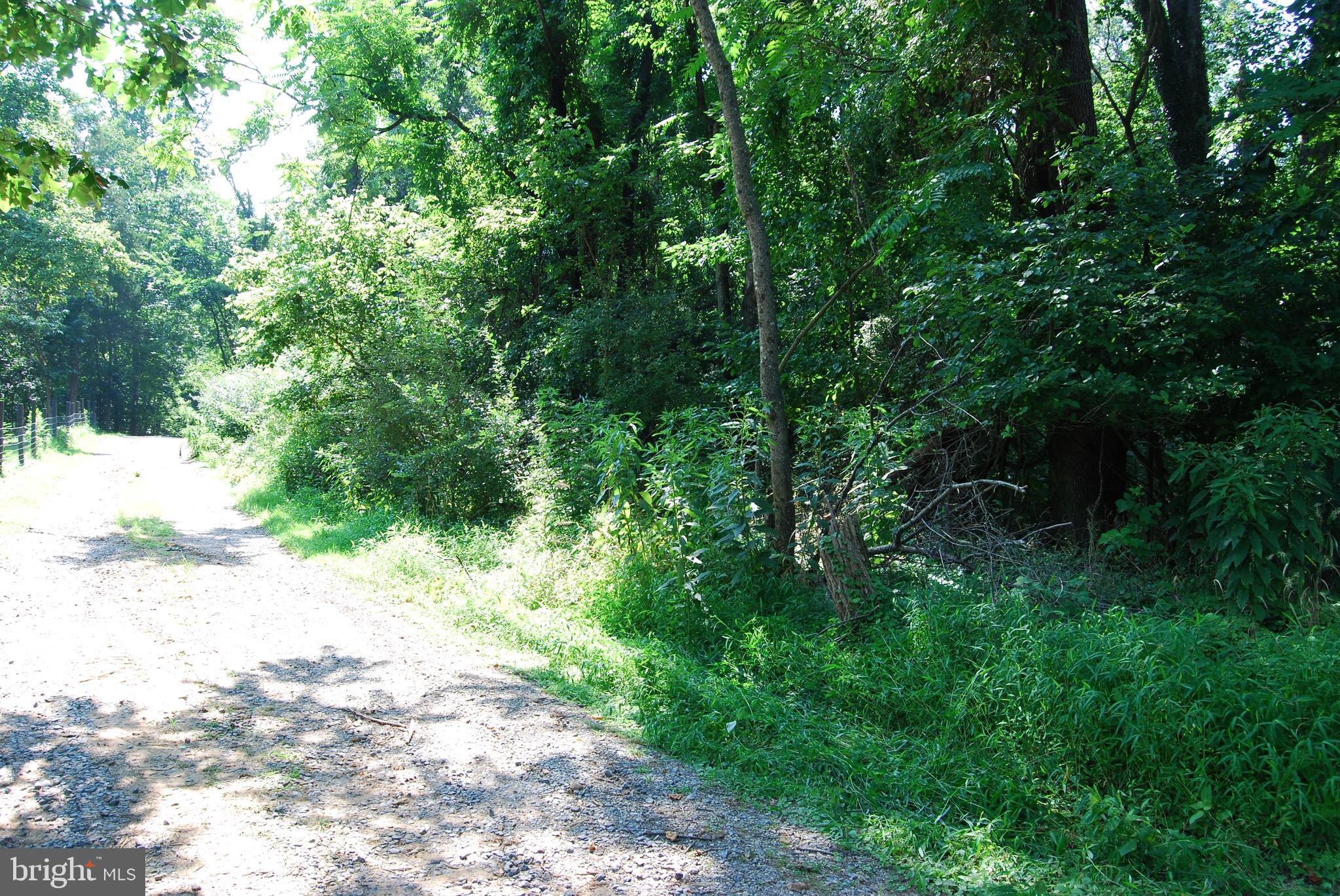 Large Building Lot in John Brown Farms
Looking for a place to build your forever home? This property offers just the right amount of acreage to be nestled in the woods but not carry that hefty price tag. Speckled throughout the property are large poplar trees that would be a great accent to a yard. Much of this property has a very gentle roll to it making it that much easier to traverse as well as excavation of the site. Want to build a home in a location with lots of wildlife? Take a quick walk through these woods and you will see just how many trails cut through the tall grass making their way to food and bedding. Don't let this opporunity pass you by.