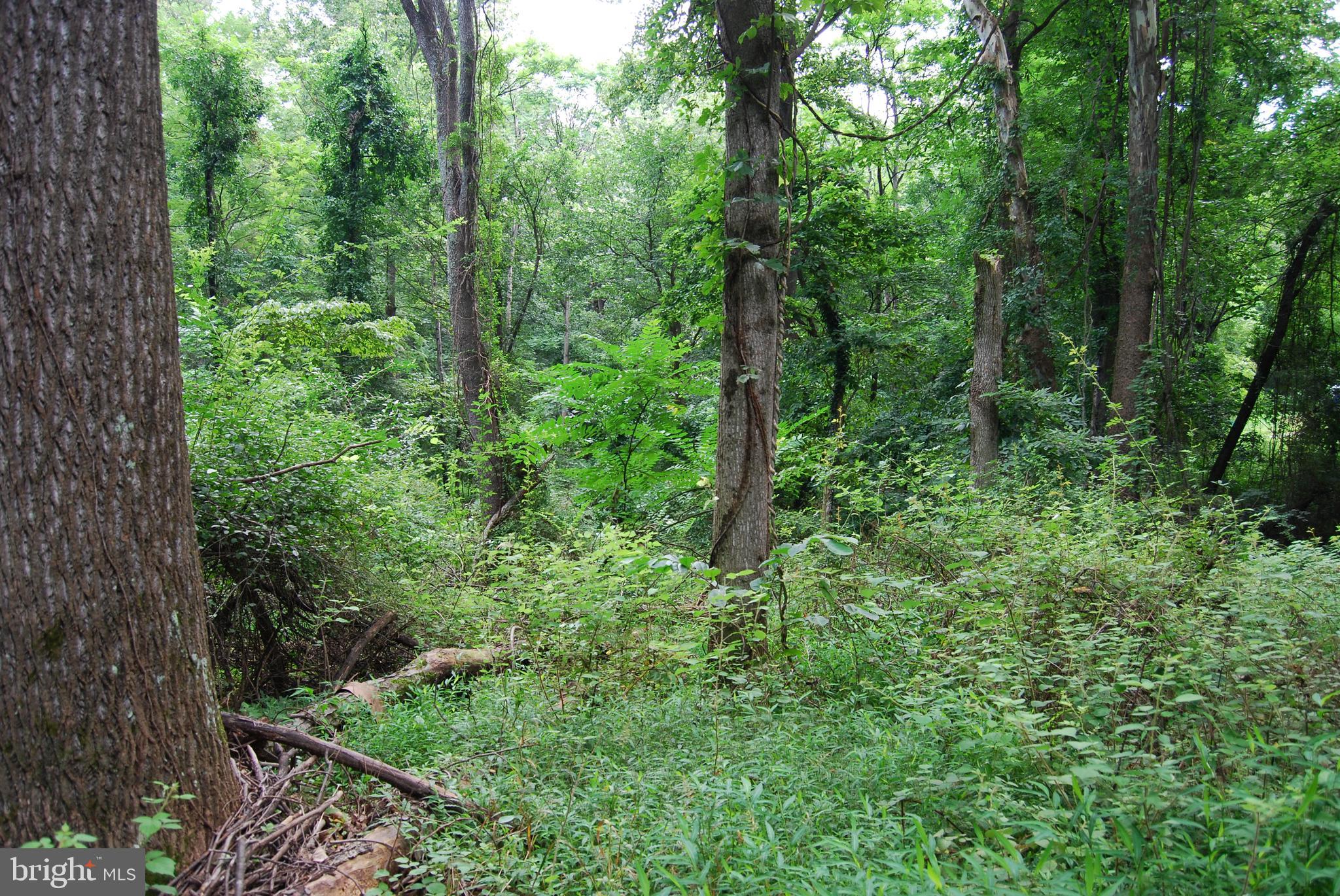 JOHN BROWN FARM - Land