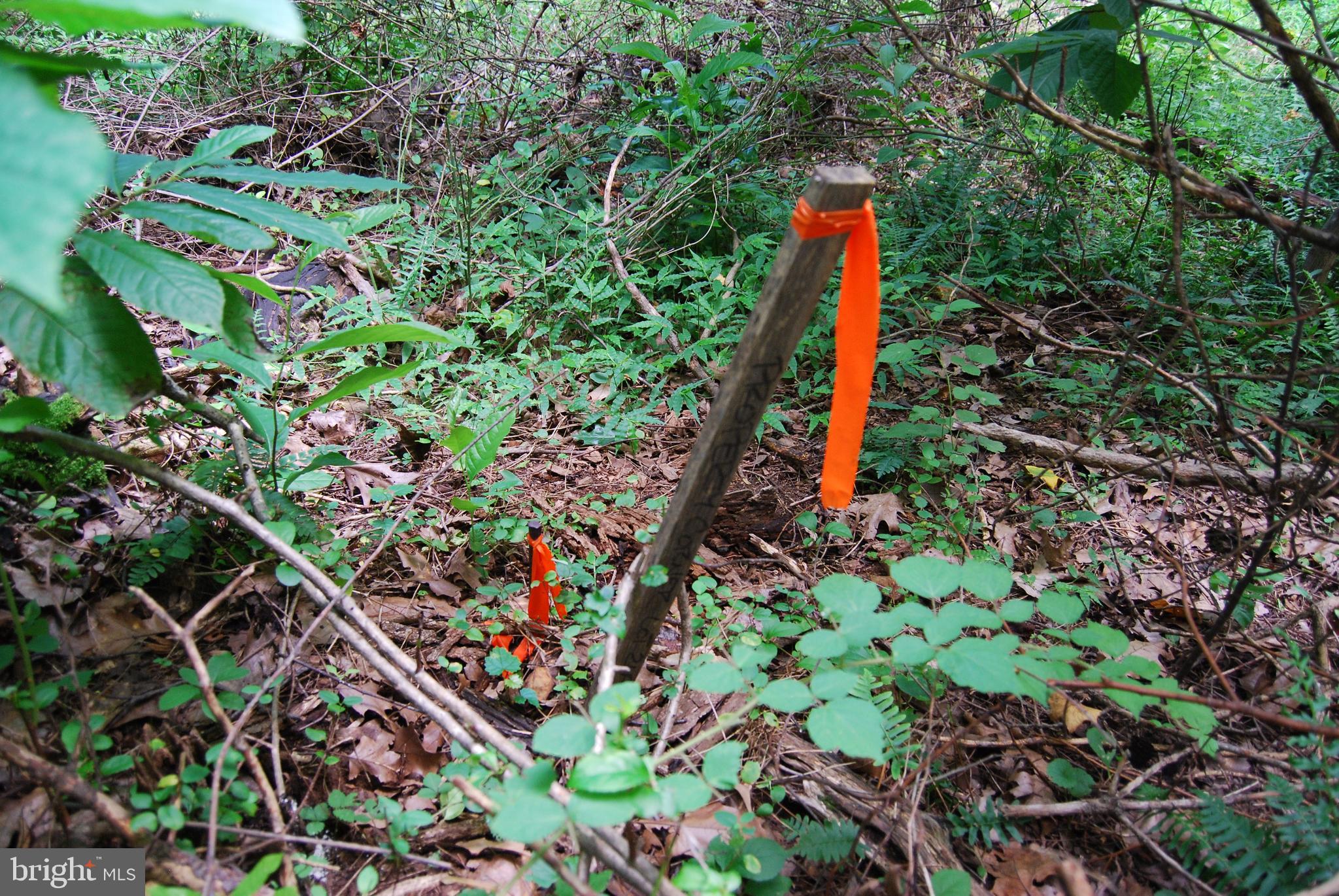 JOHN BROWN FARM - Land