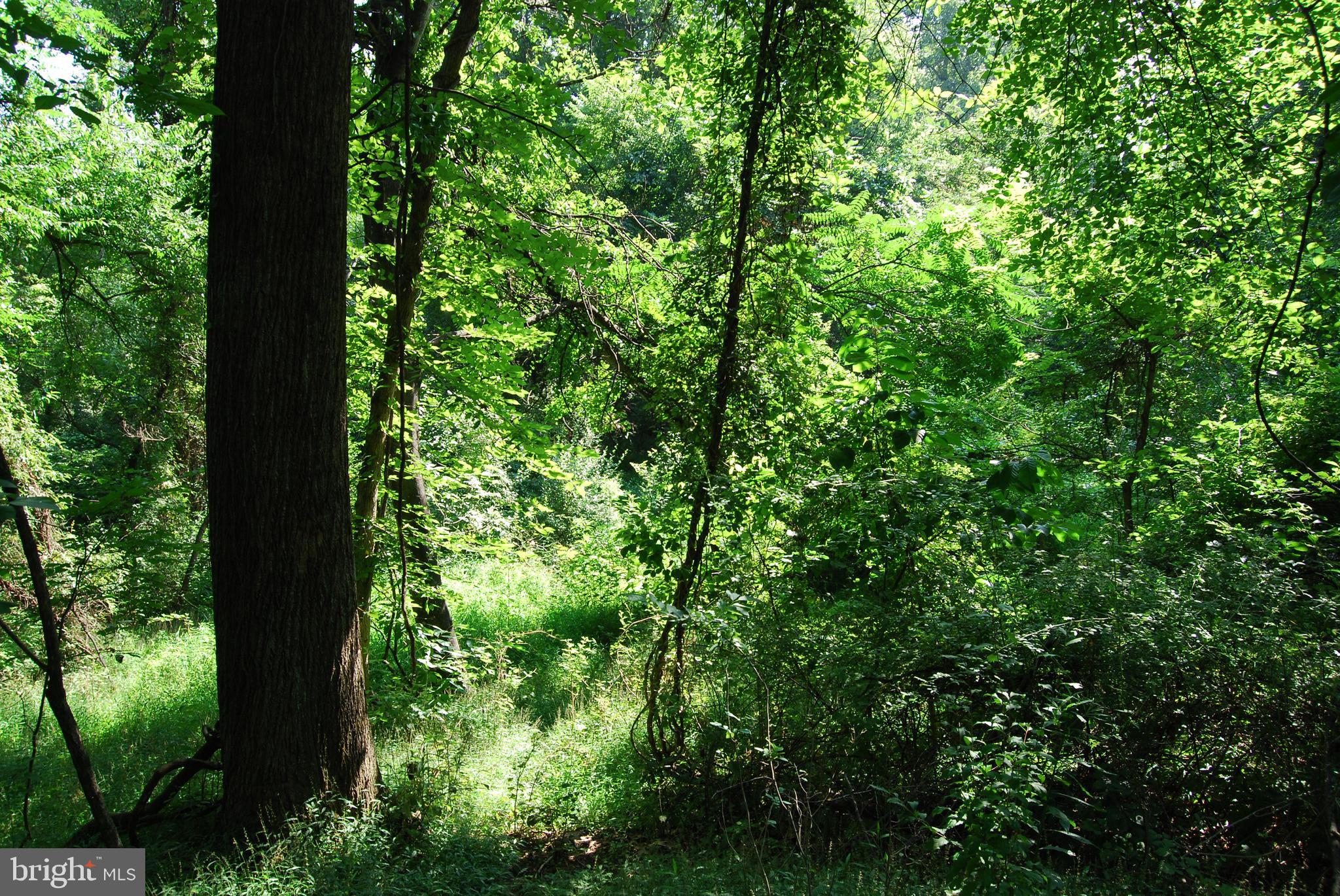 JOHN BROWN FARM - Land
