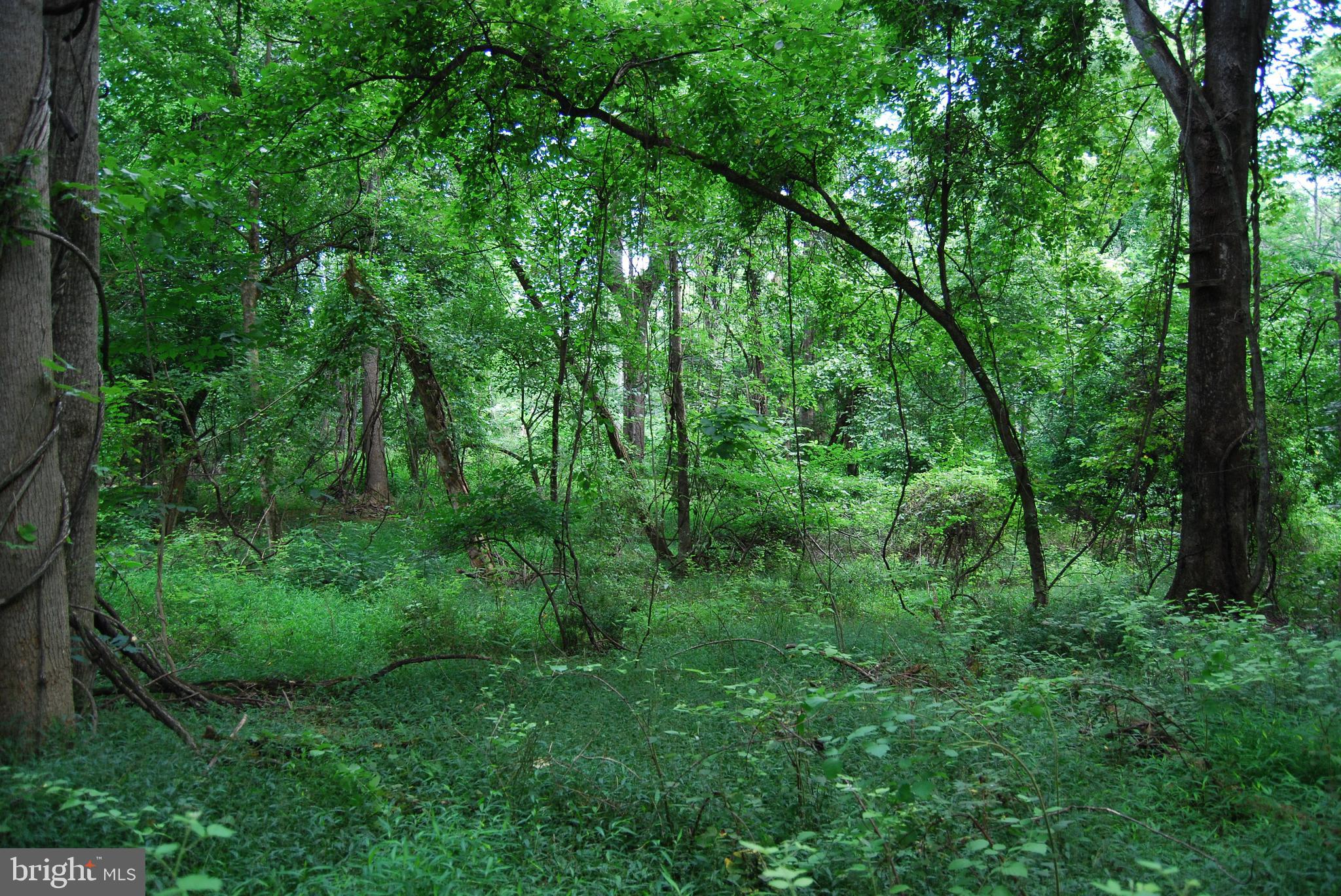 JOHN BROWN FARM - Land