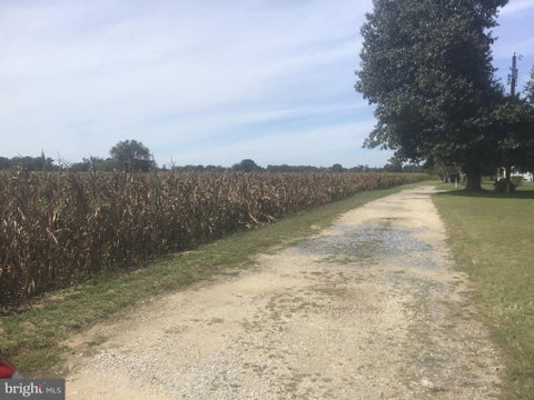 Vacant Land For Sale - Levishohn Street<br/> PITTSGROVE, NJ 08318