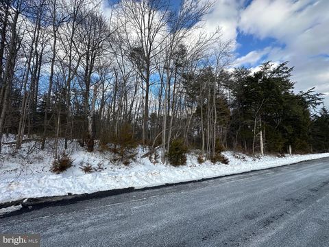 Vacant Land For Sale - Hollow Road<br/> GORE, VA 22637