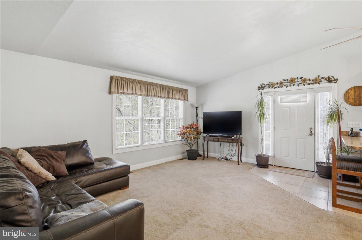 3837 GRACES CABIN ROAD