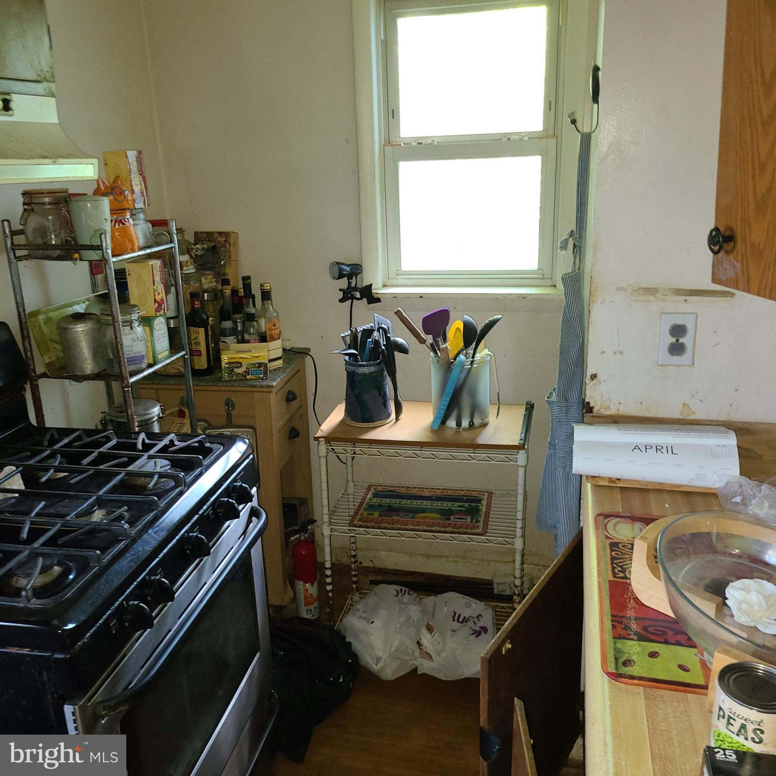 HAMILTON HEIGHTS - Residential