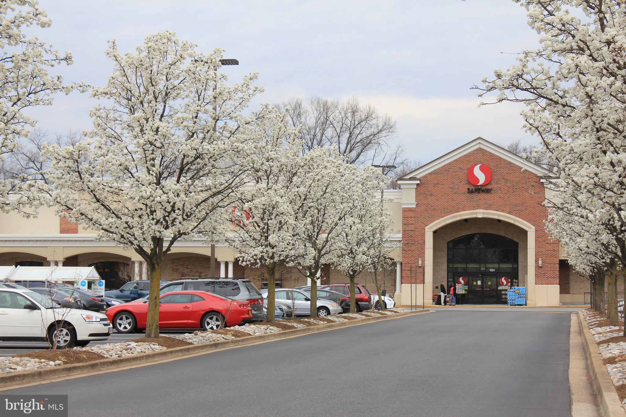 BELLE VIEW CONDOMINIUMS - Residential Lease