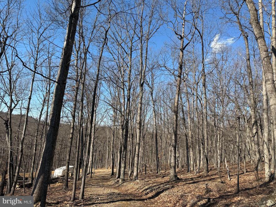 Discover the perfect blend of privacy, convenience, and natural beauty with this stunning 18.5-acre unrestricted property. Featuring a well already in place and a completed perc test, this land is ready for your dream home, cabin, or recreational retreat.

A cleared homesite awaits your vision, complete with underground electric installed directly to the building site and just needing connected. The driveway is already in place, providing easy access from Goldsborough Road, where the property boasts direct road frontage for convenience without sacrificing privacy.

Surrounded by towering hardwoods and abundant wildlife, this serene setting offers the peace and seclusion you’ve been searching for—yet remains just minutes from shopping, dining, and everyday amenities.

Whether you're looking to build now or invest for the future, this exceptional property offers unlimited potential with no restrictions.

Schedule your showing today and experience the possibilities!