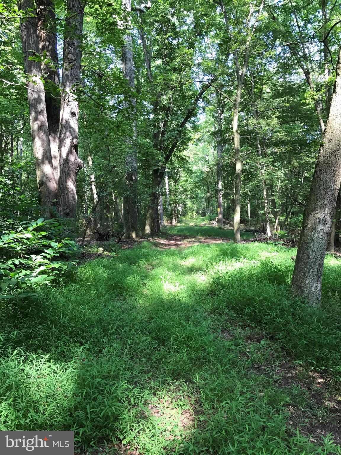 NONE AVAILABLE - Land