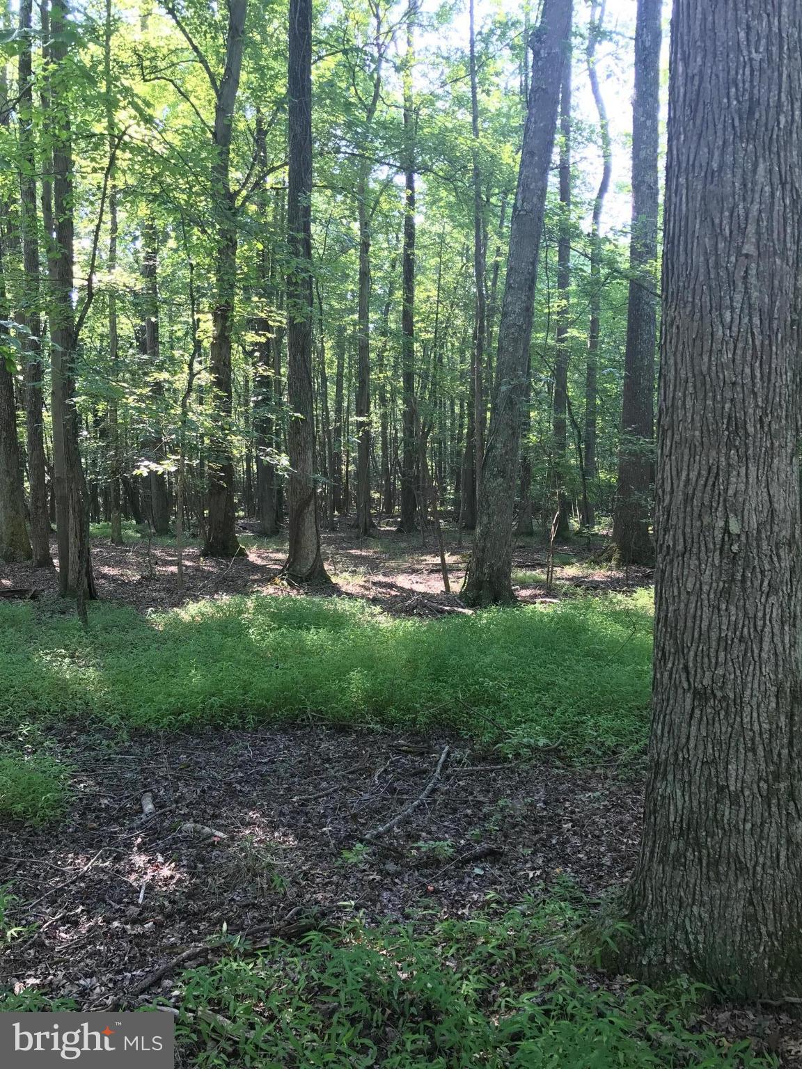 NONE AVAILABLE - Land