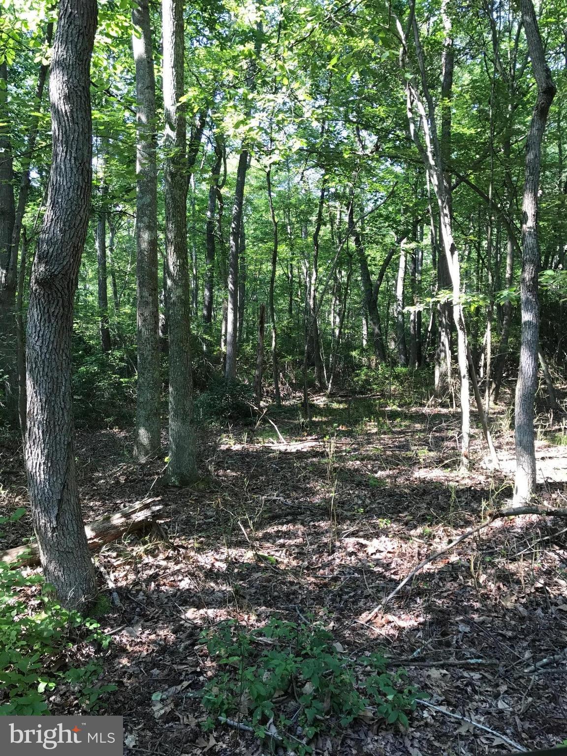 NONE AVAILABLE - Land