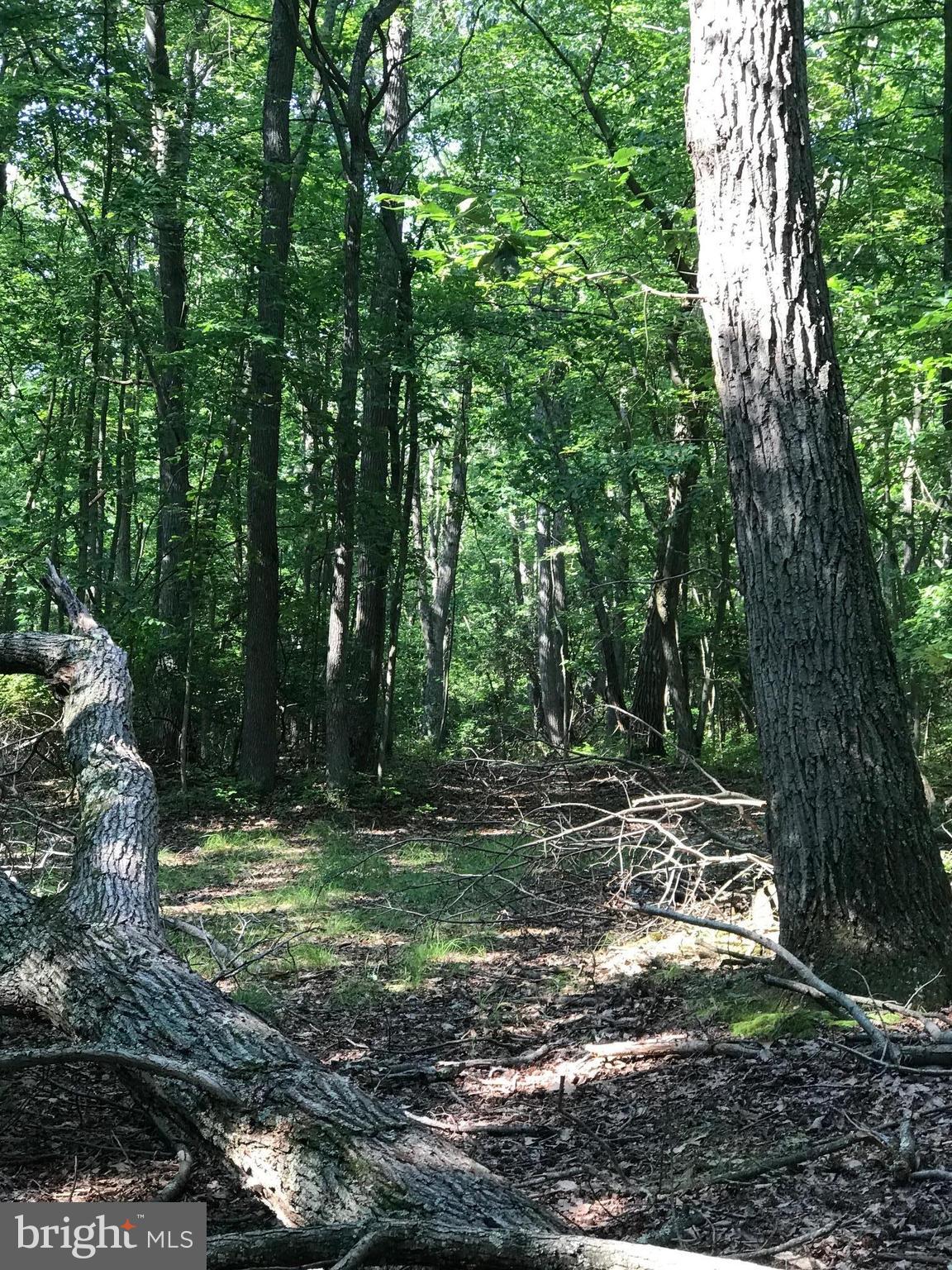 NONE AVAILABLE - Land