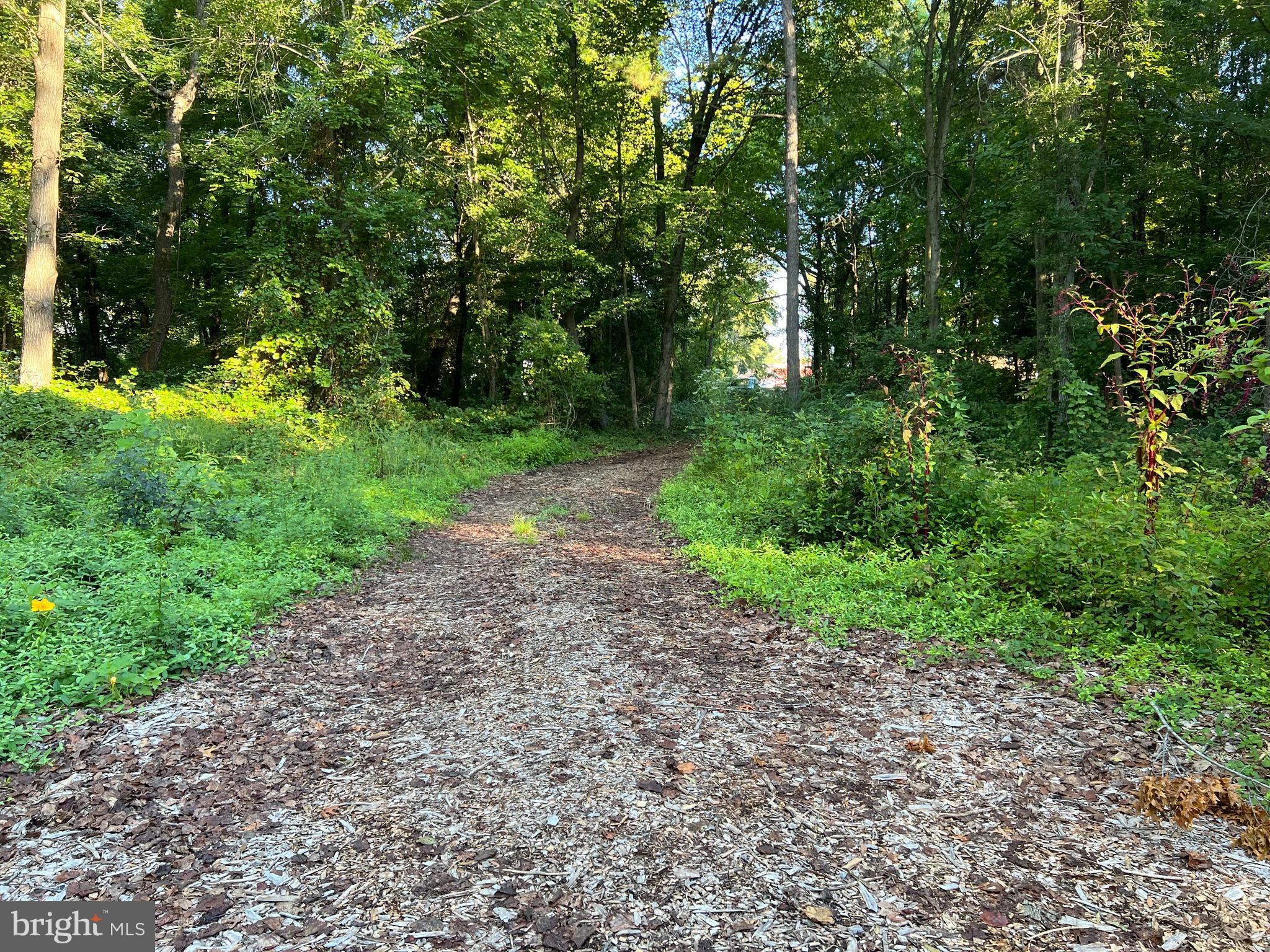 Rare opportunity to buy land in Cordova! 7.42 Acres of partially cleared land. No perc testing history on the lot. Seller also selling home at 11758 Kitty's Corner Rd MLS # MDTA2004948. Properties do not connect.