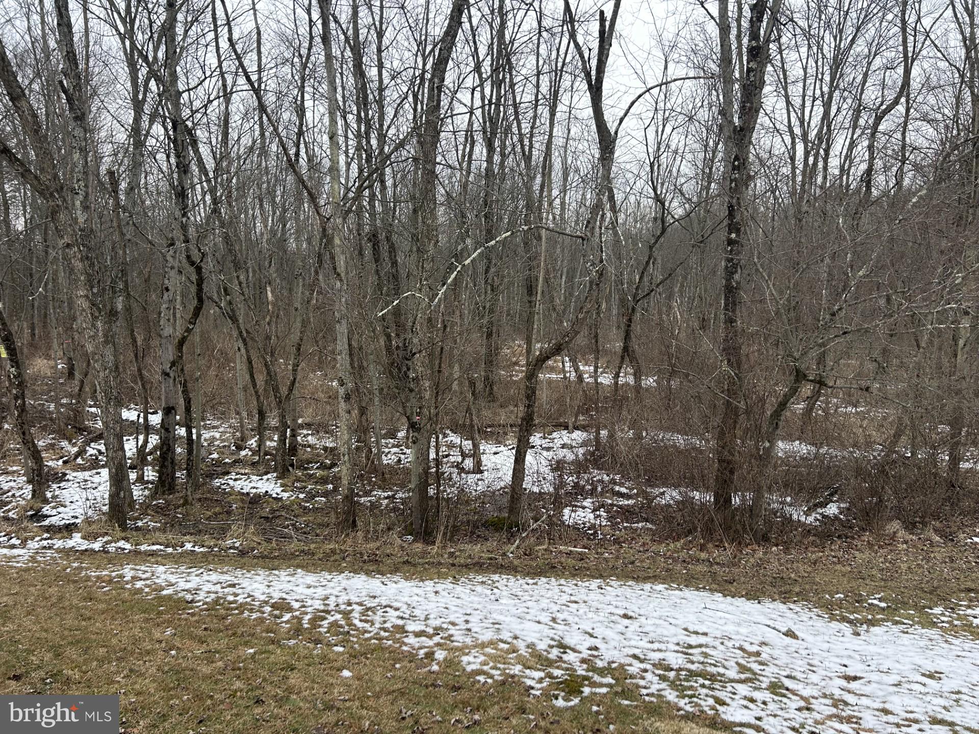 COUNTRY MEADOW FARMS - Residential