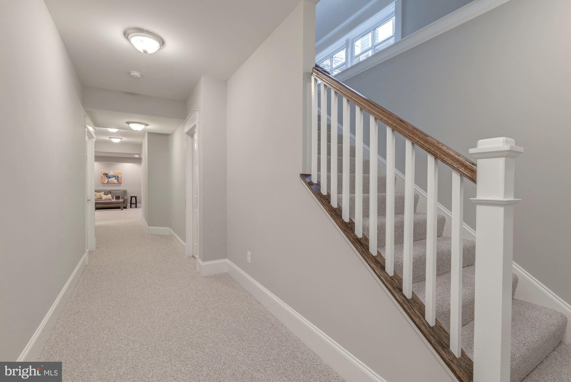 GREAT FOREST - Residential