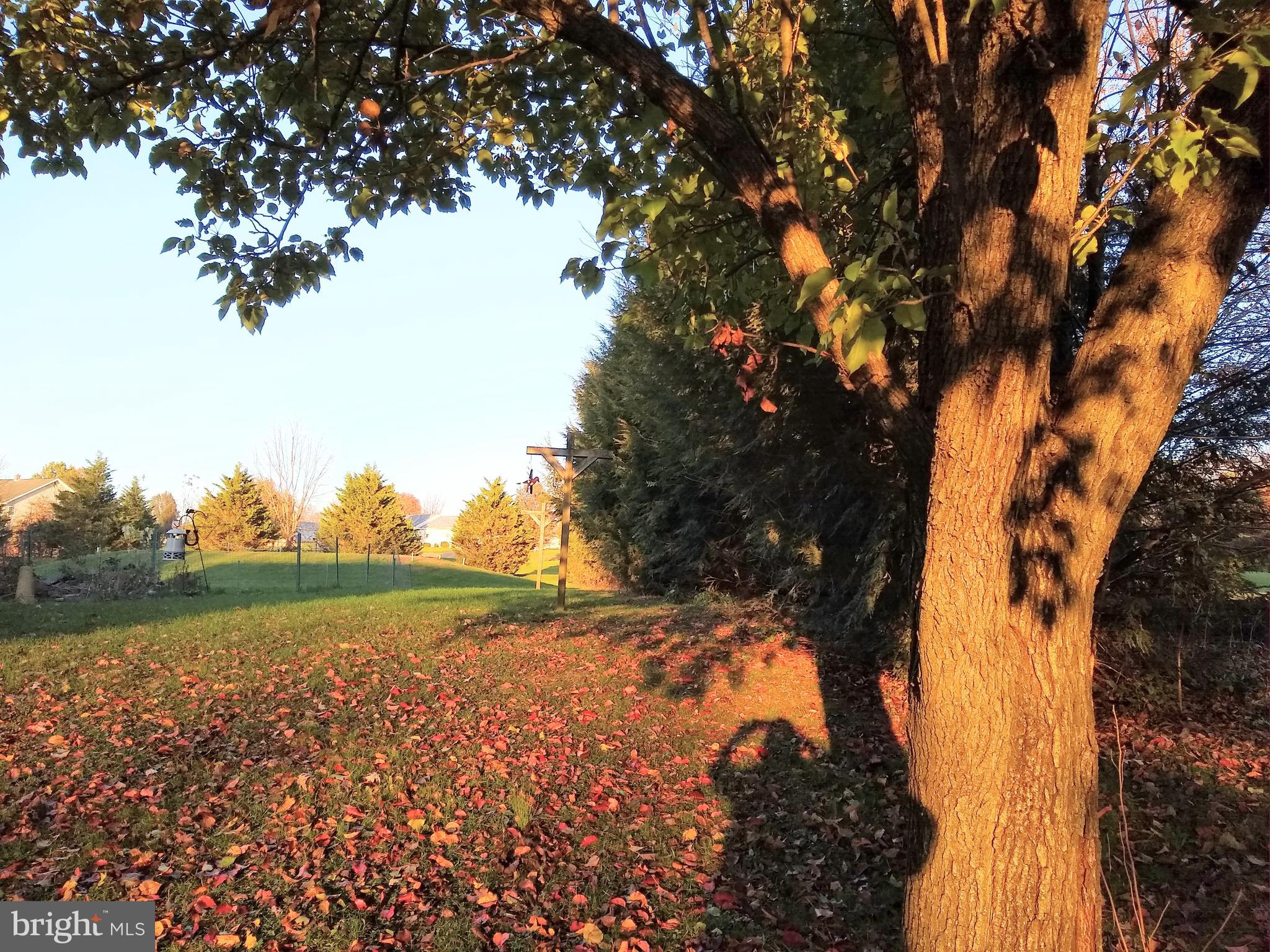 DENVER/REINHOLDS - Residential