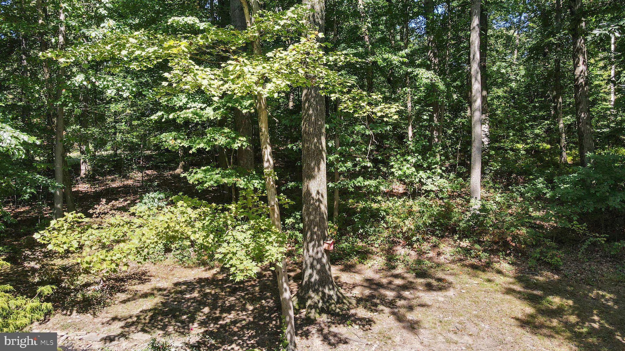 JACOBS RUN - Residential