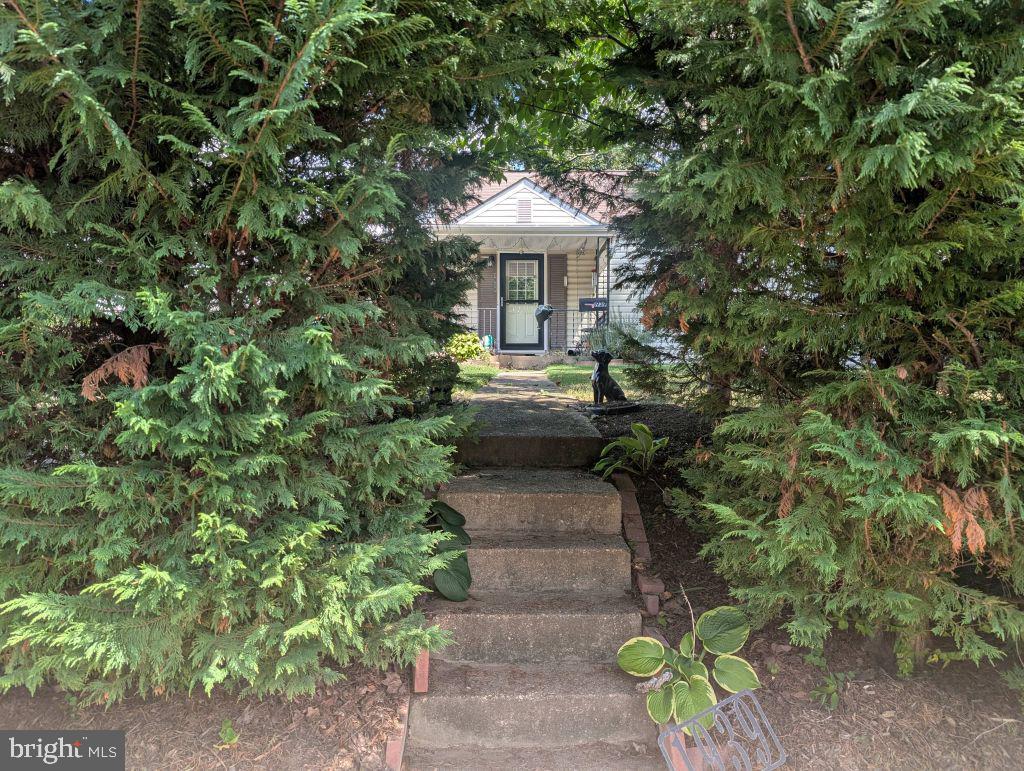 1939 STORM DRIVE
