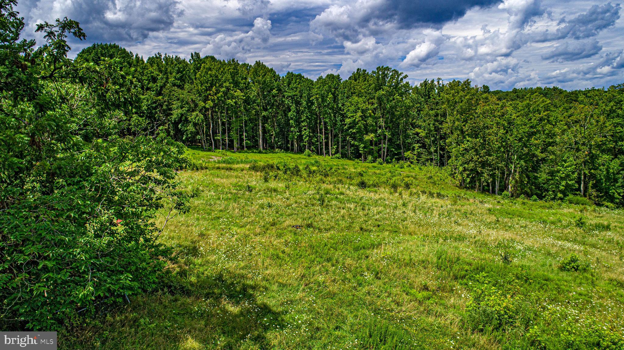 NONE AVAILABLE - Commercial Sale