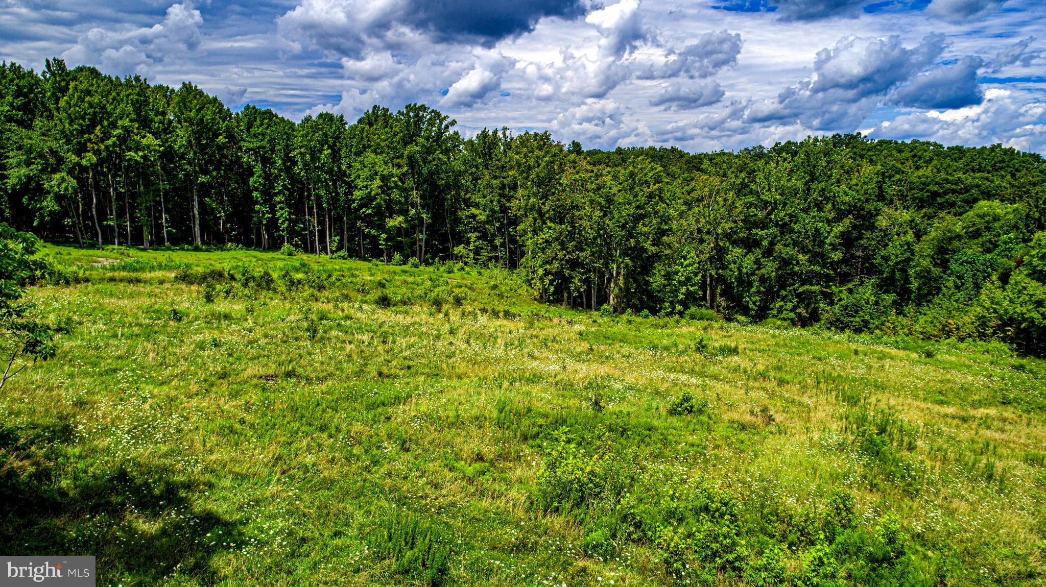 NONE AVAILABLE - Commercial Sale