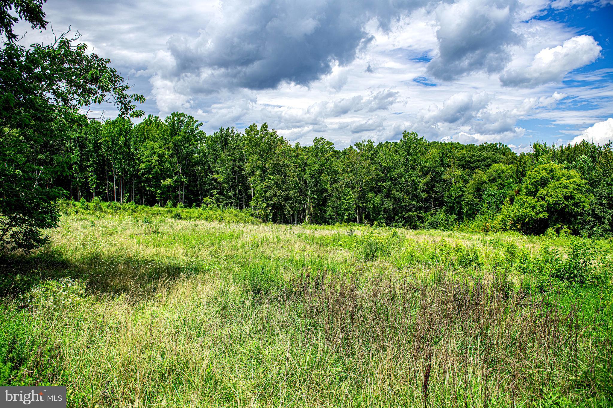 NONE AVAILABLE - Commercial Sale