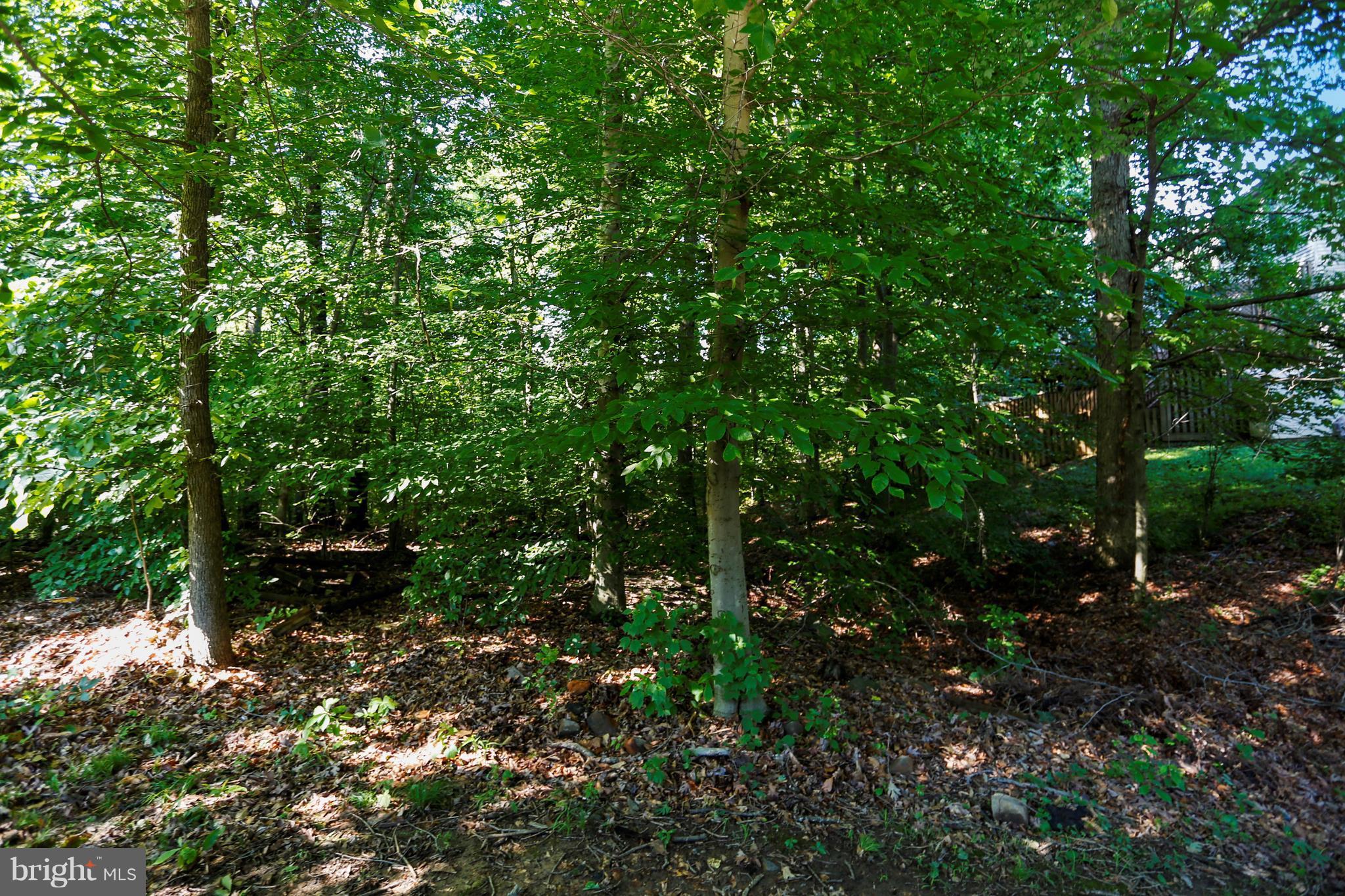 BOWLING BROOK FARMS - Residential