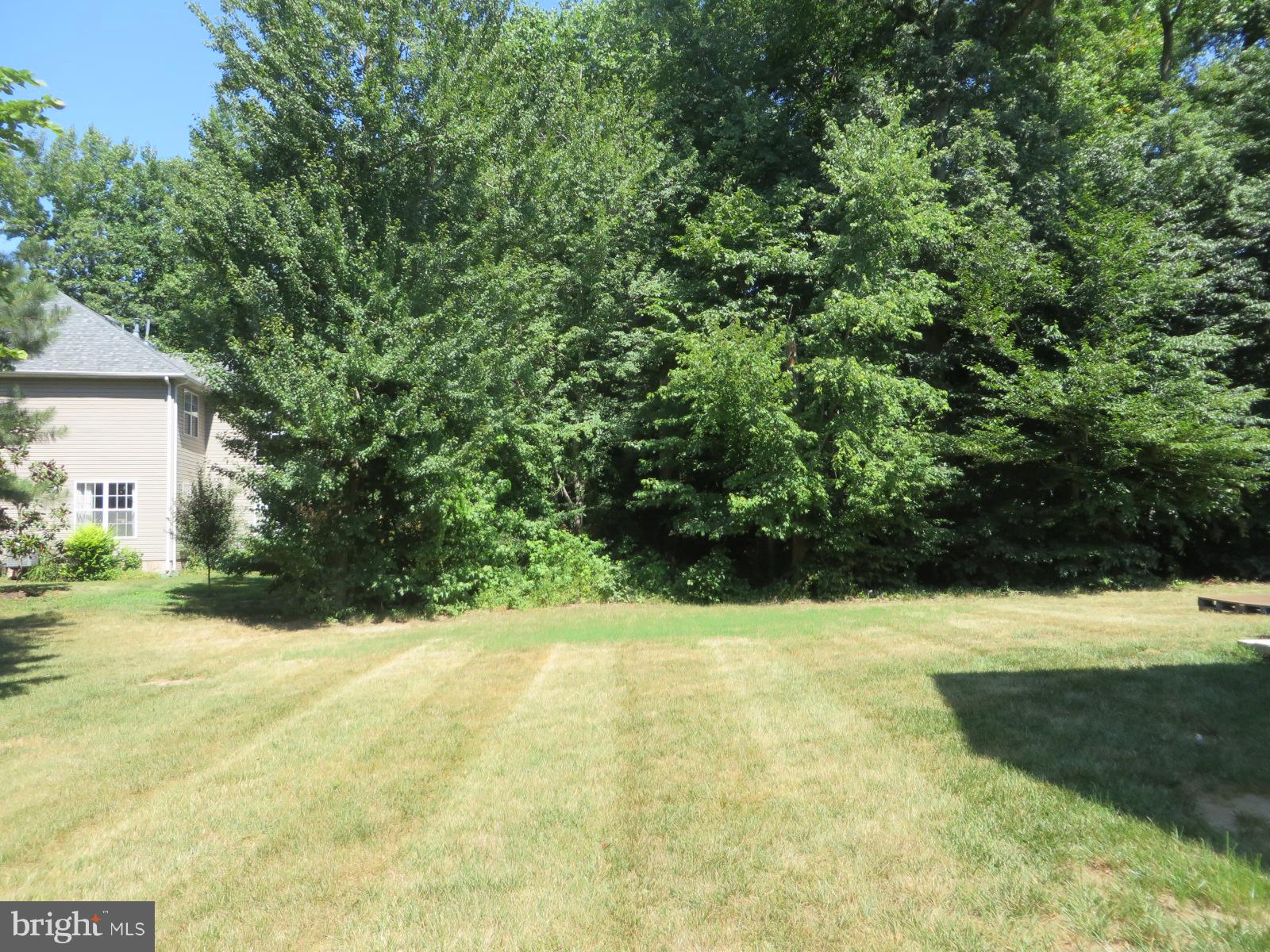 RUSTIC RIDGE-PLAT 1> - Residential