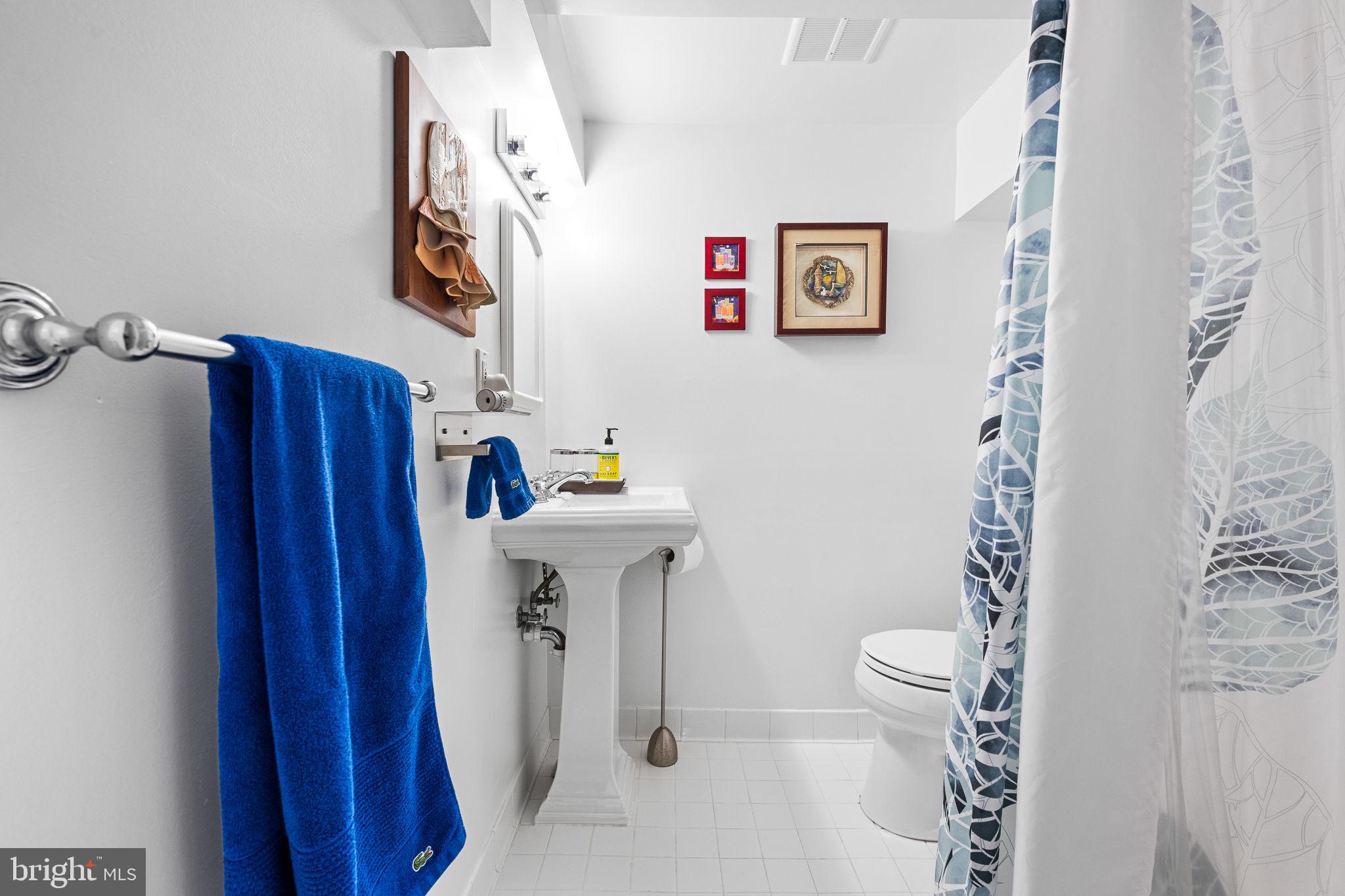 CHEVY CHASE VILLAGE - Residential