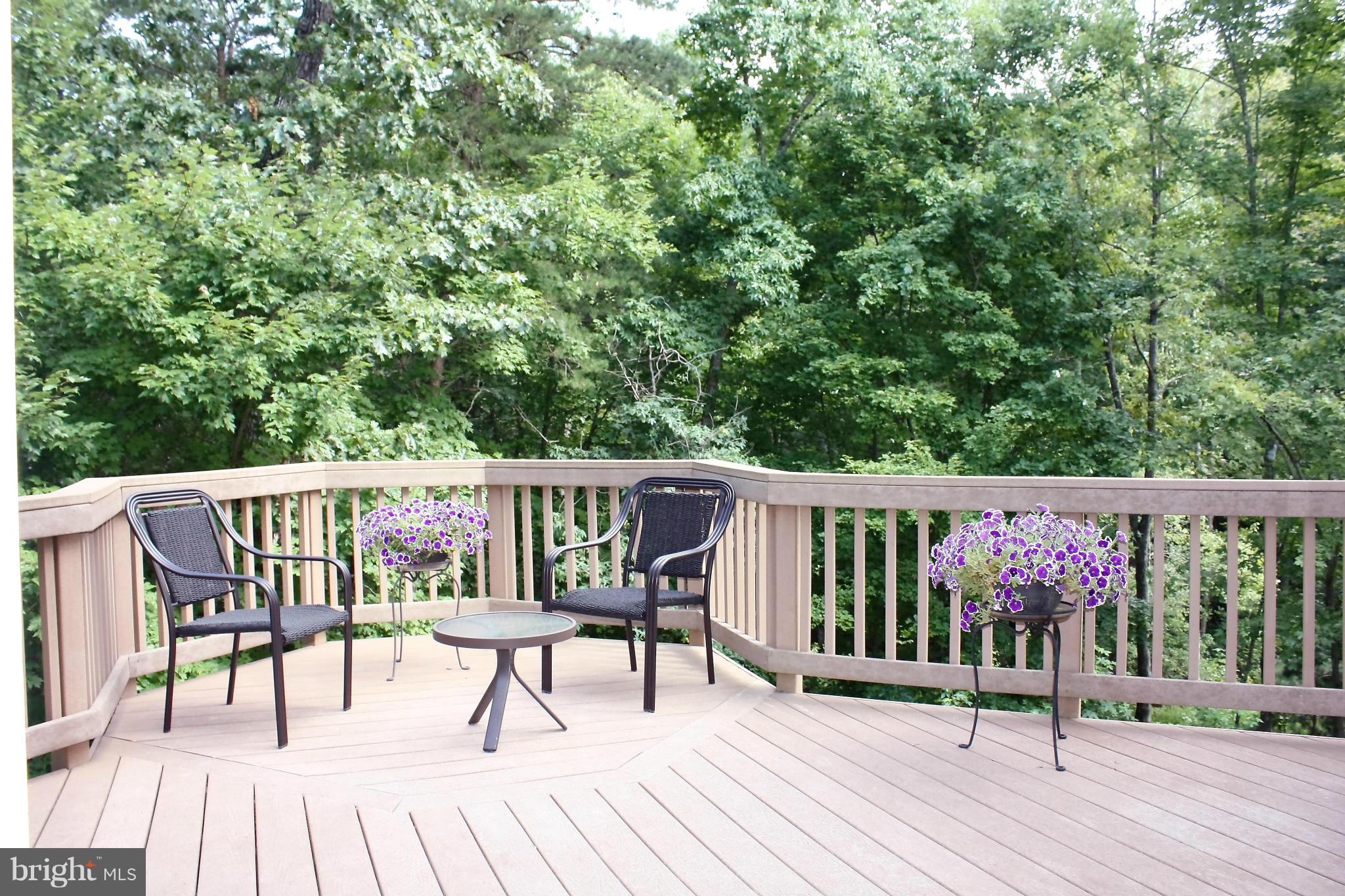 ESTATES OF CHANCELLORSVILLE - Residential