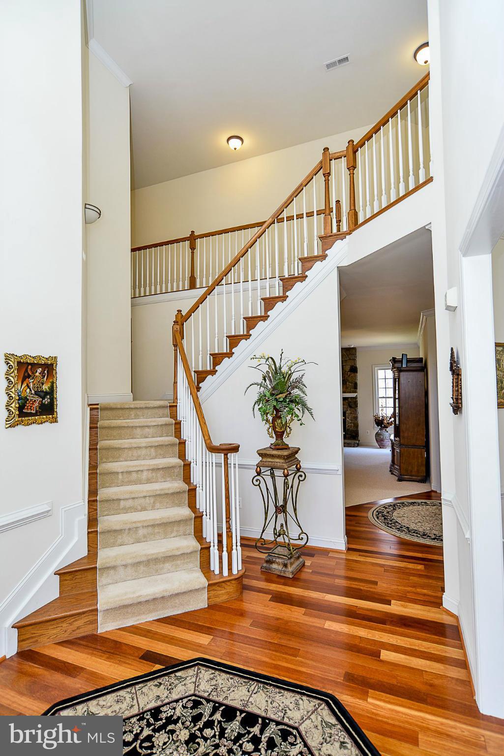 ESTATES OF CHANCELLORSVILLE - Residential