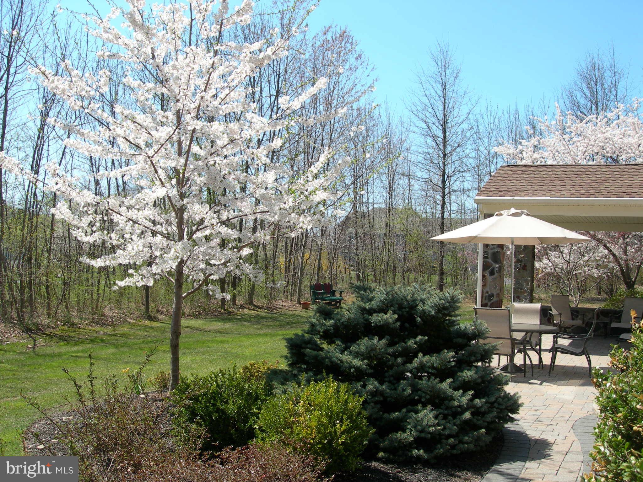 GWYNEDD KNOLL - Residential