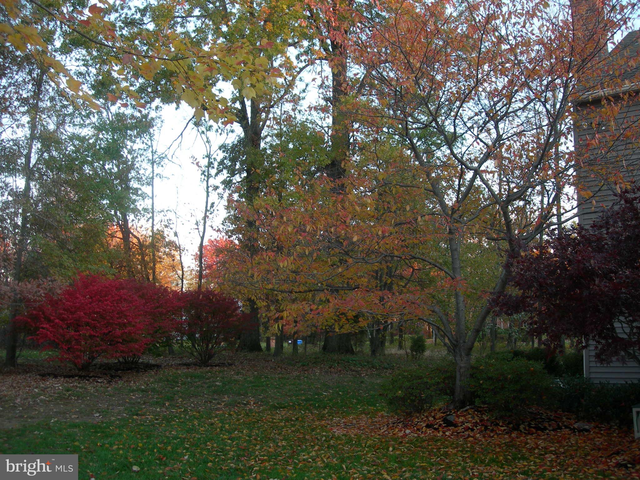 GWYNEDD KNOLL - Residential