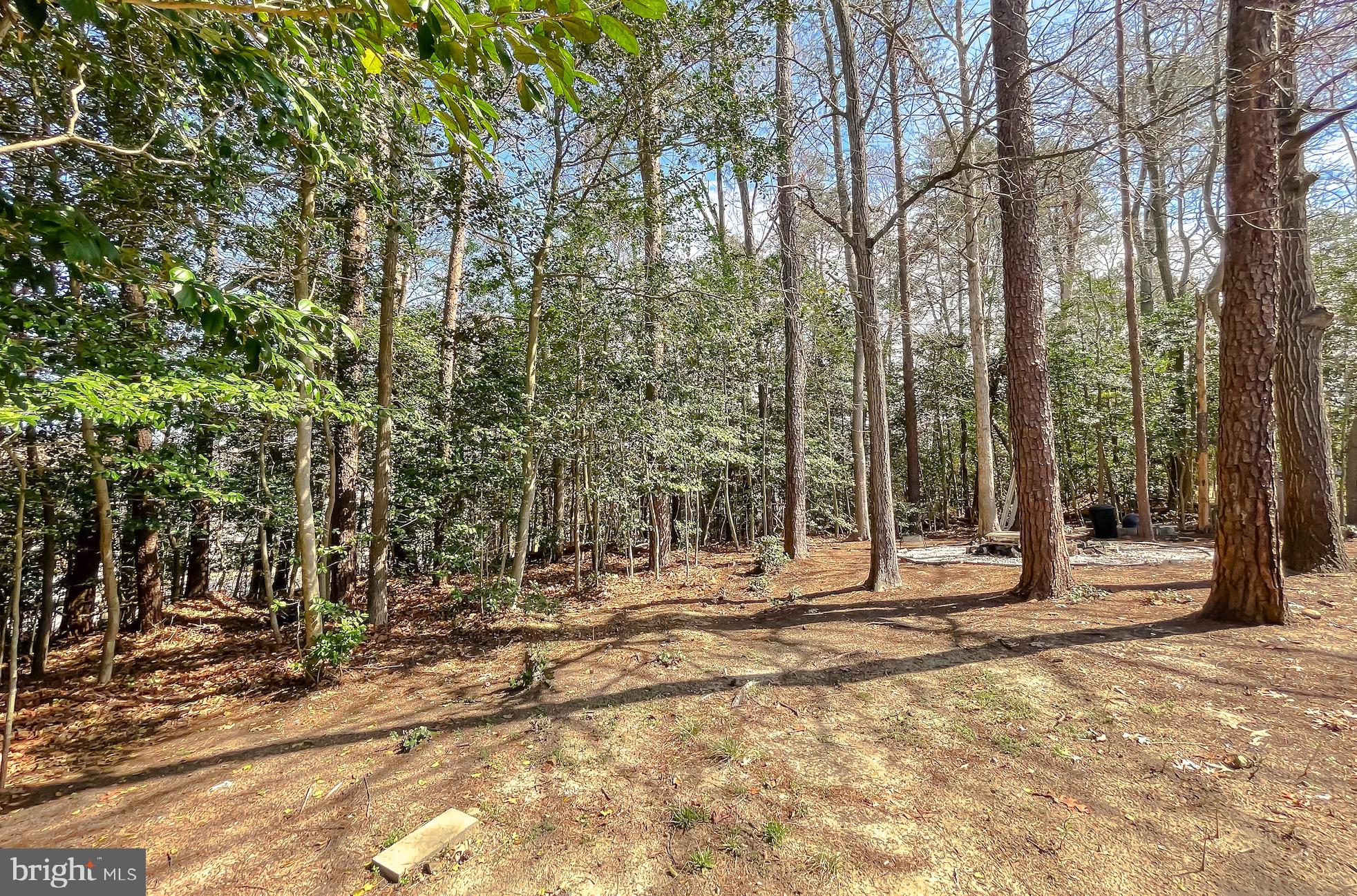 WILLOW WOODS - Residential