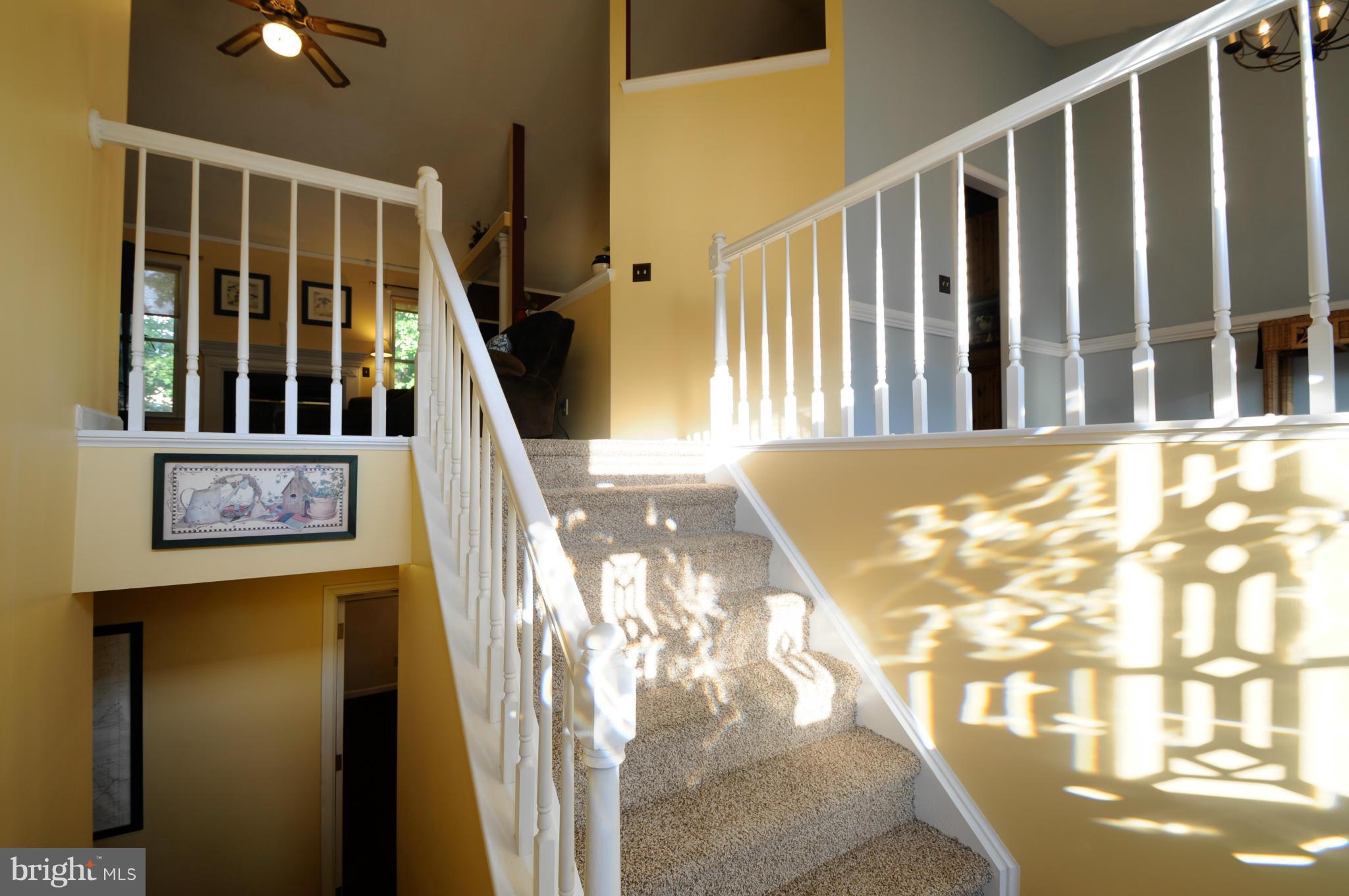 PIEDMONT HILLS - Residential