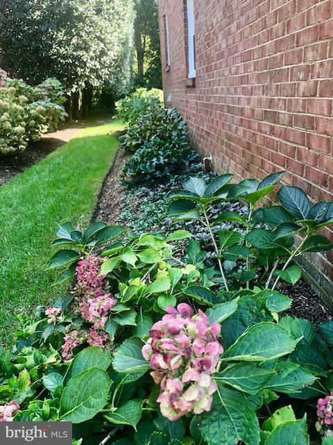 ELY ESTATES - Residential