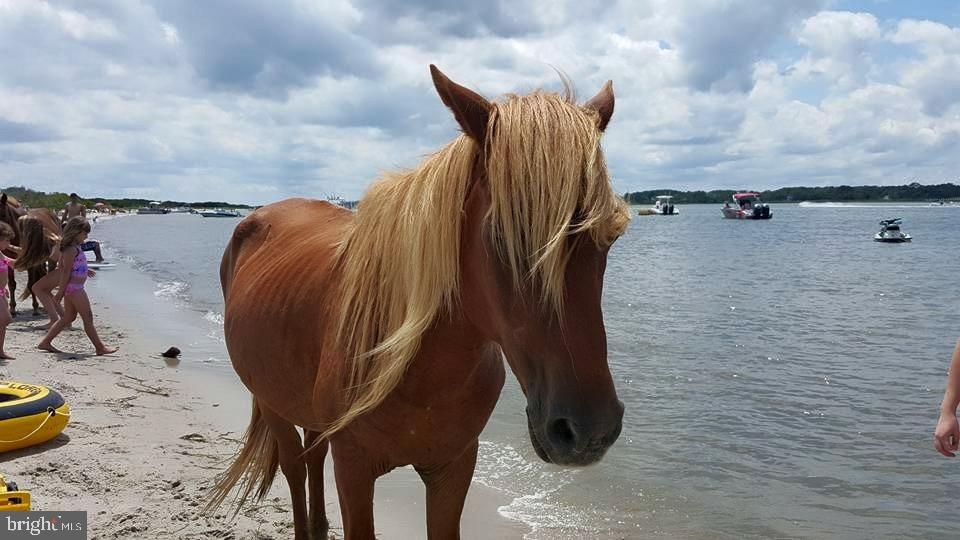 RIVERVIEW MHP - Residential