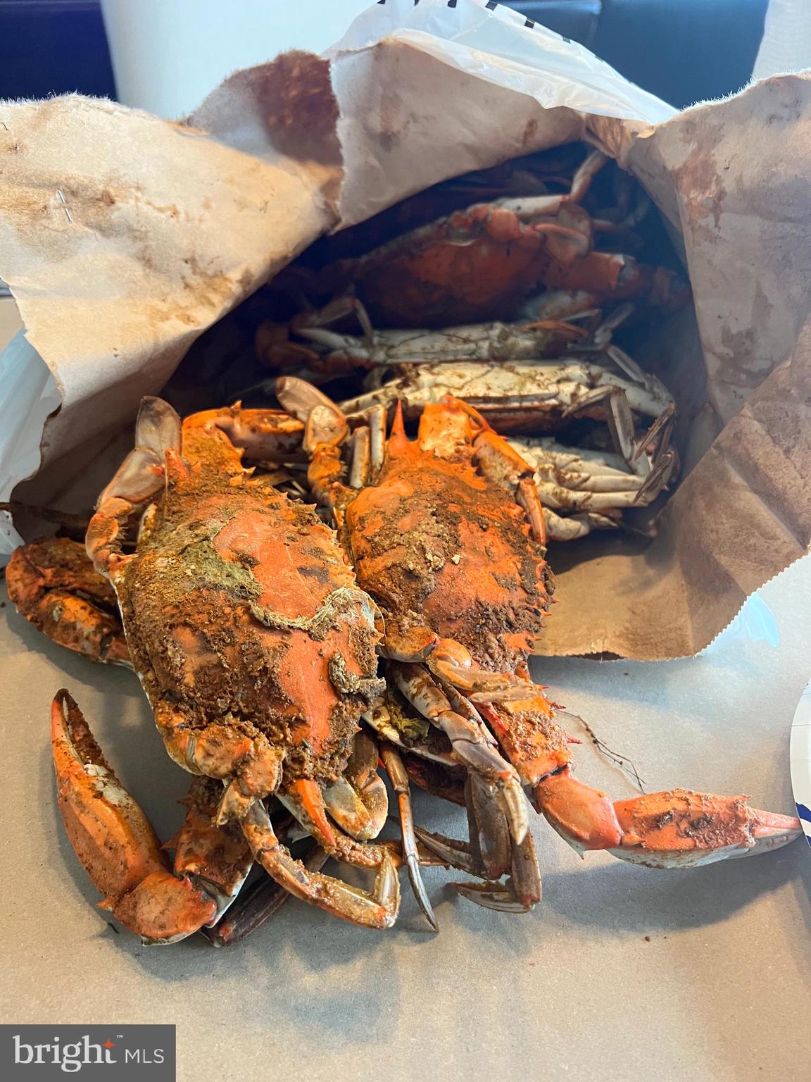 RIVERVIEW MHP - Residential