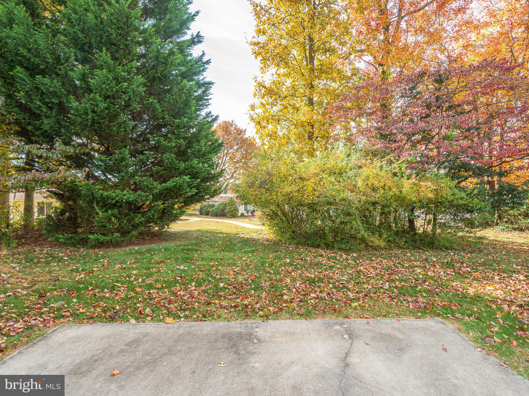 15422 BRAMBLEWOOD DRIVE 21-B