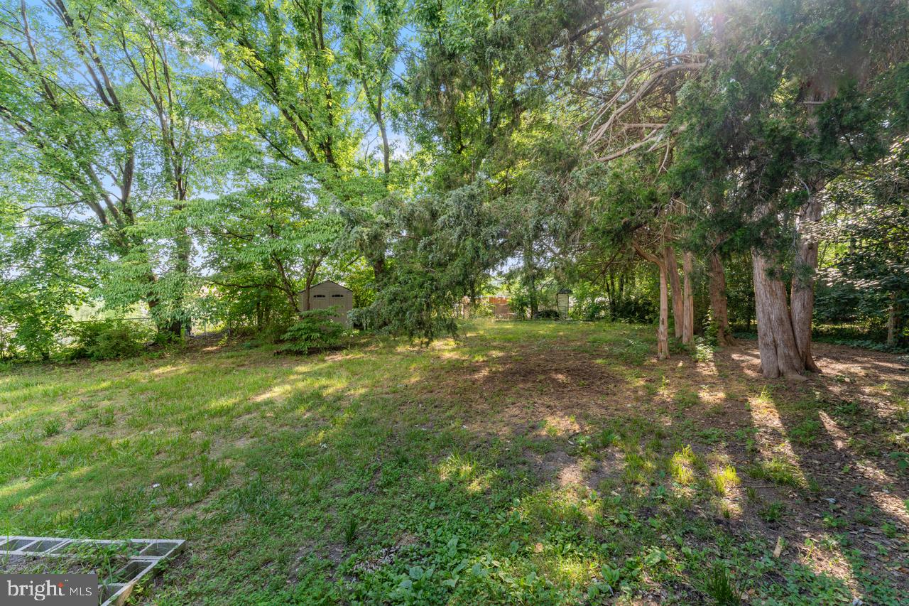 THE MEADOWS - Residential Lease