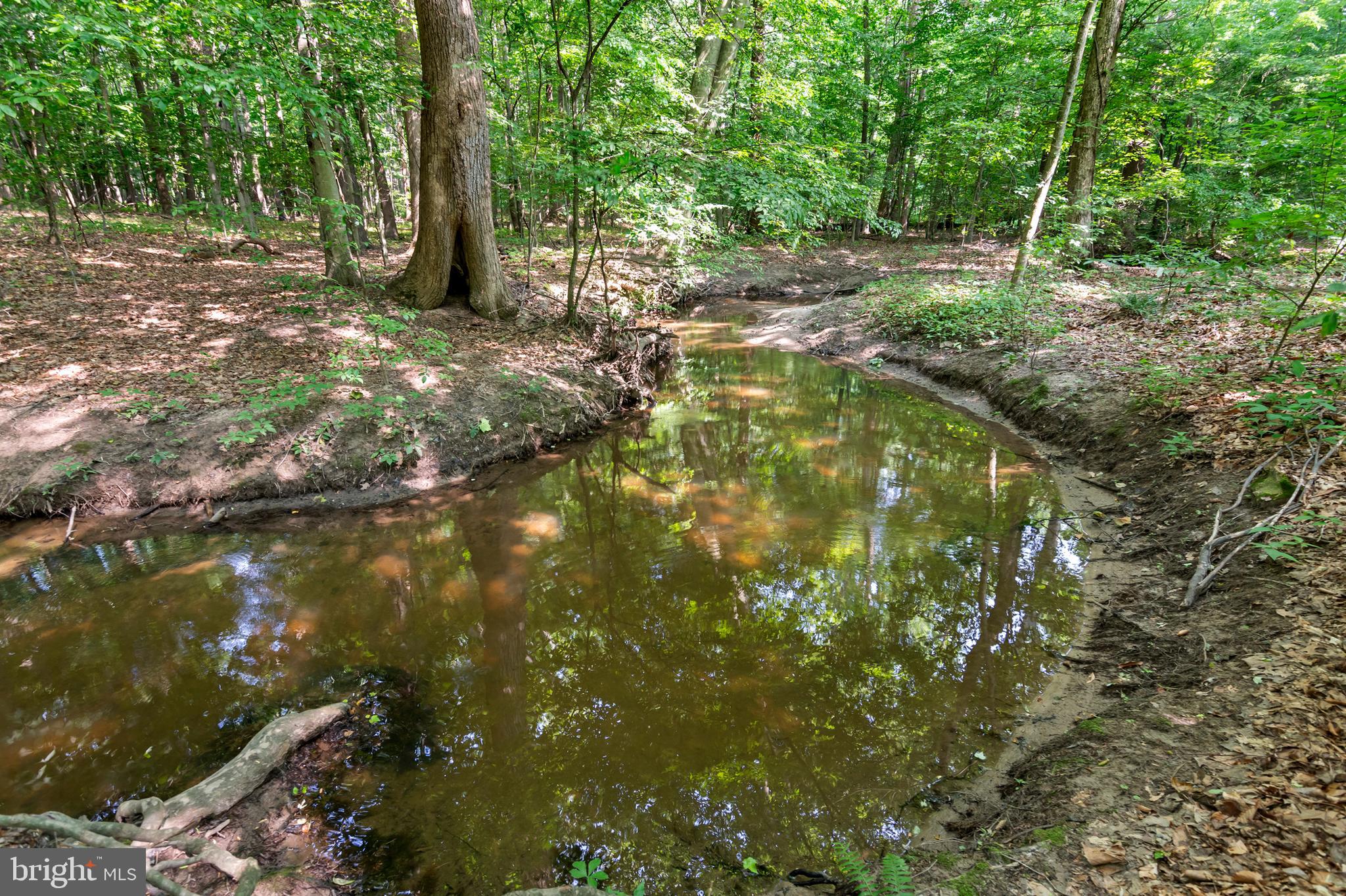 CYGNET PARK - Residential
