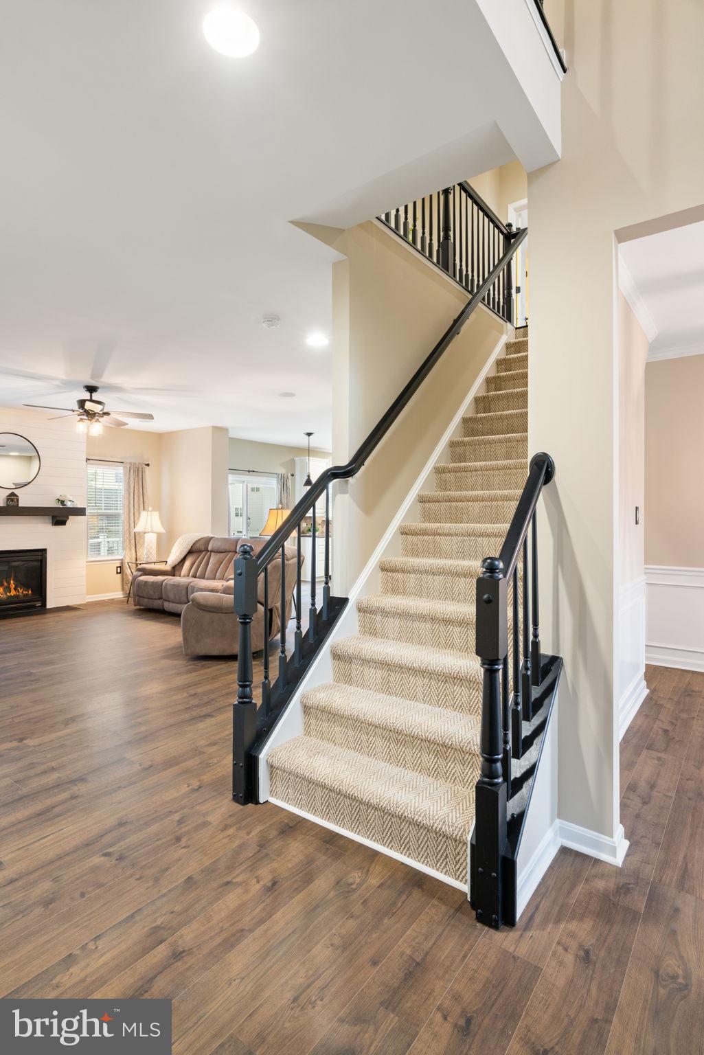 MEADOWS AT MORRIS FARM - Residential