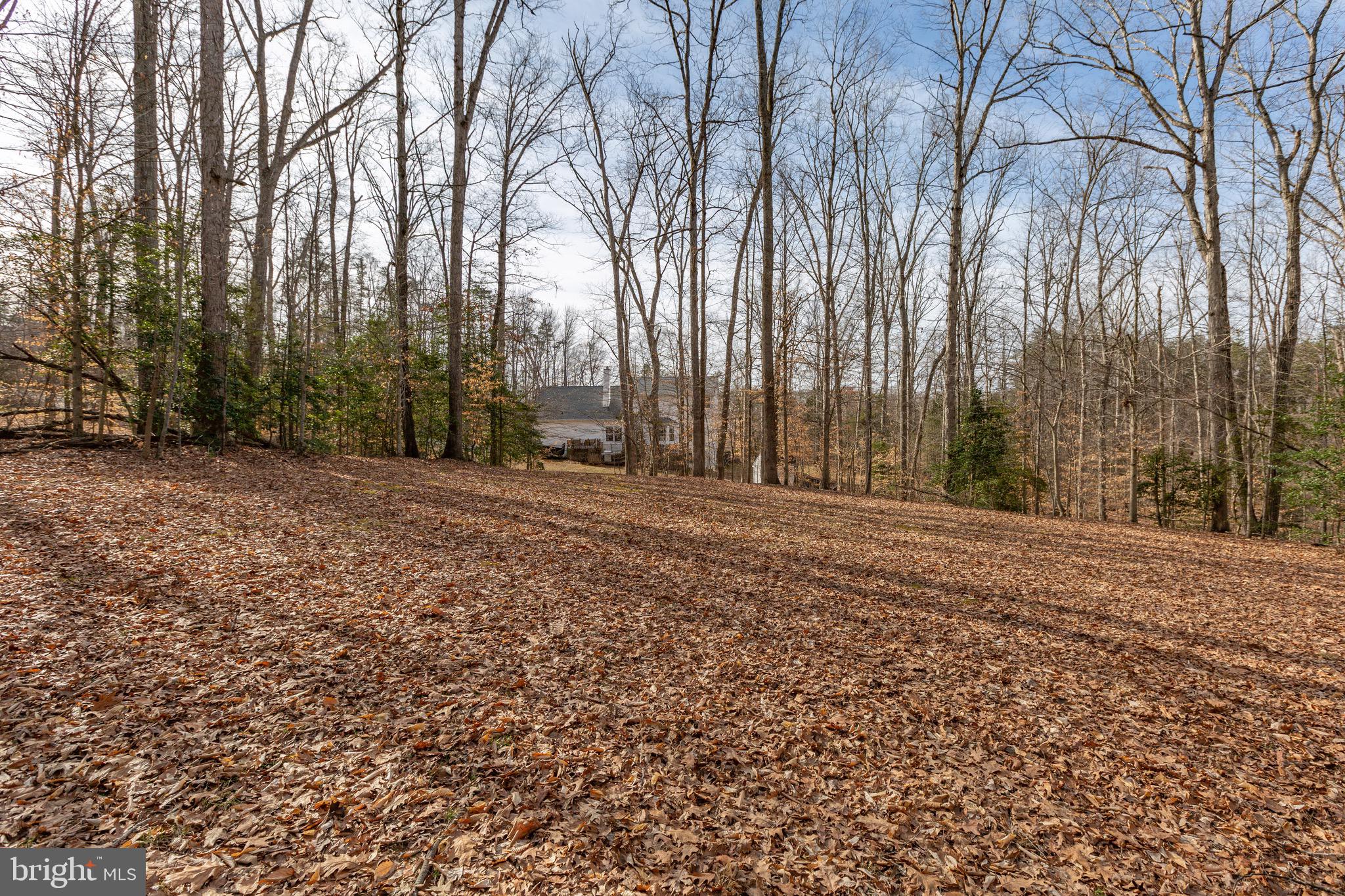 WOODS OF ABEL LAKE - Residential