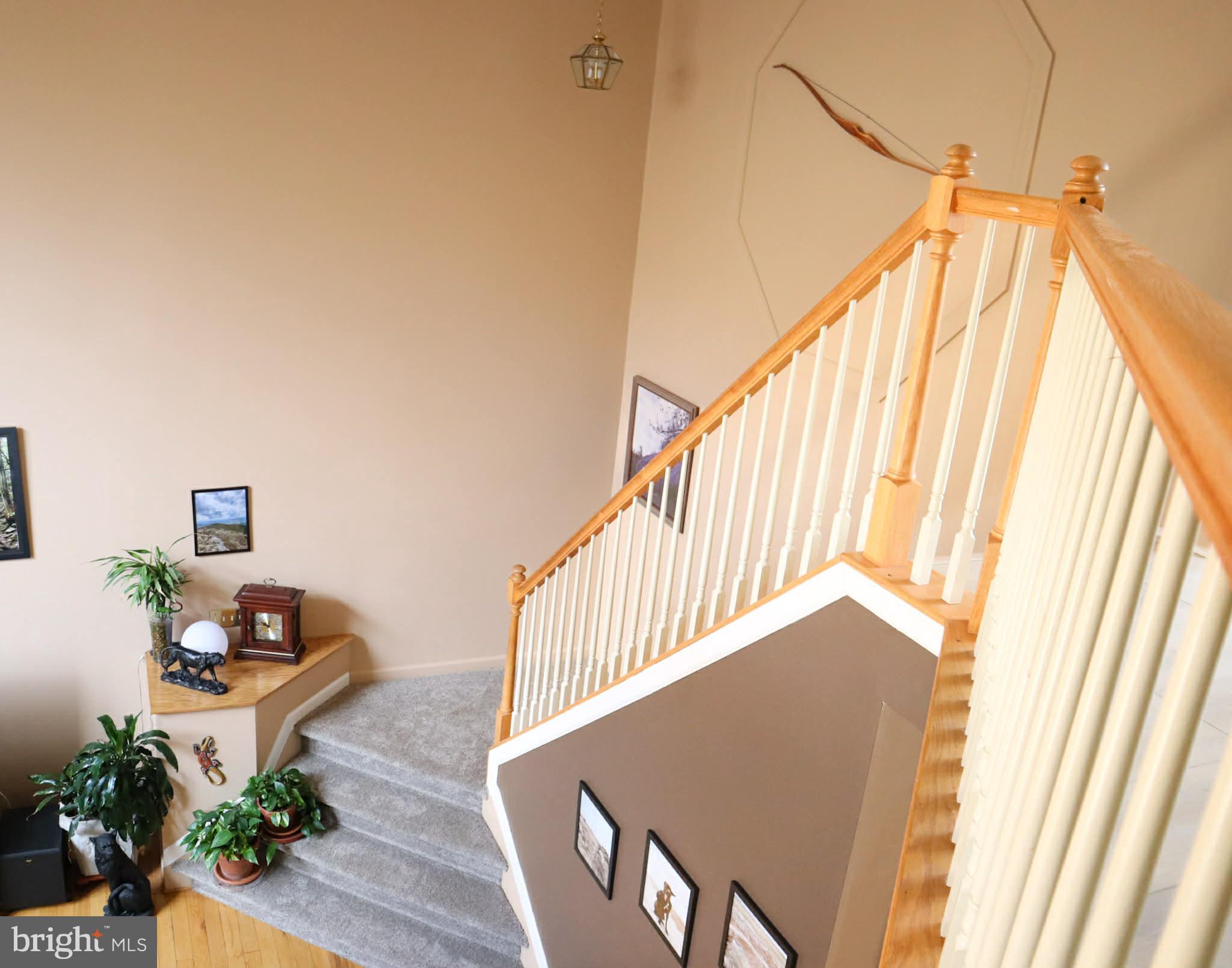 WHITAKER WOODS - Residential