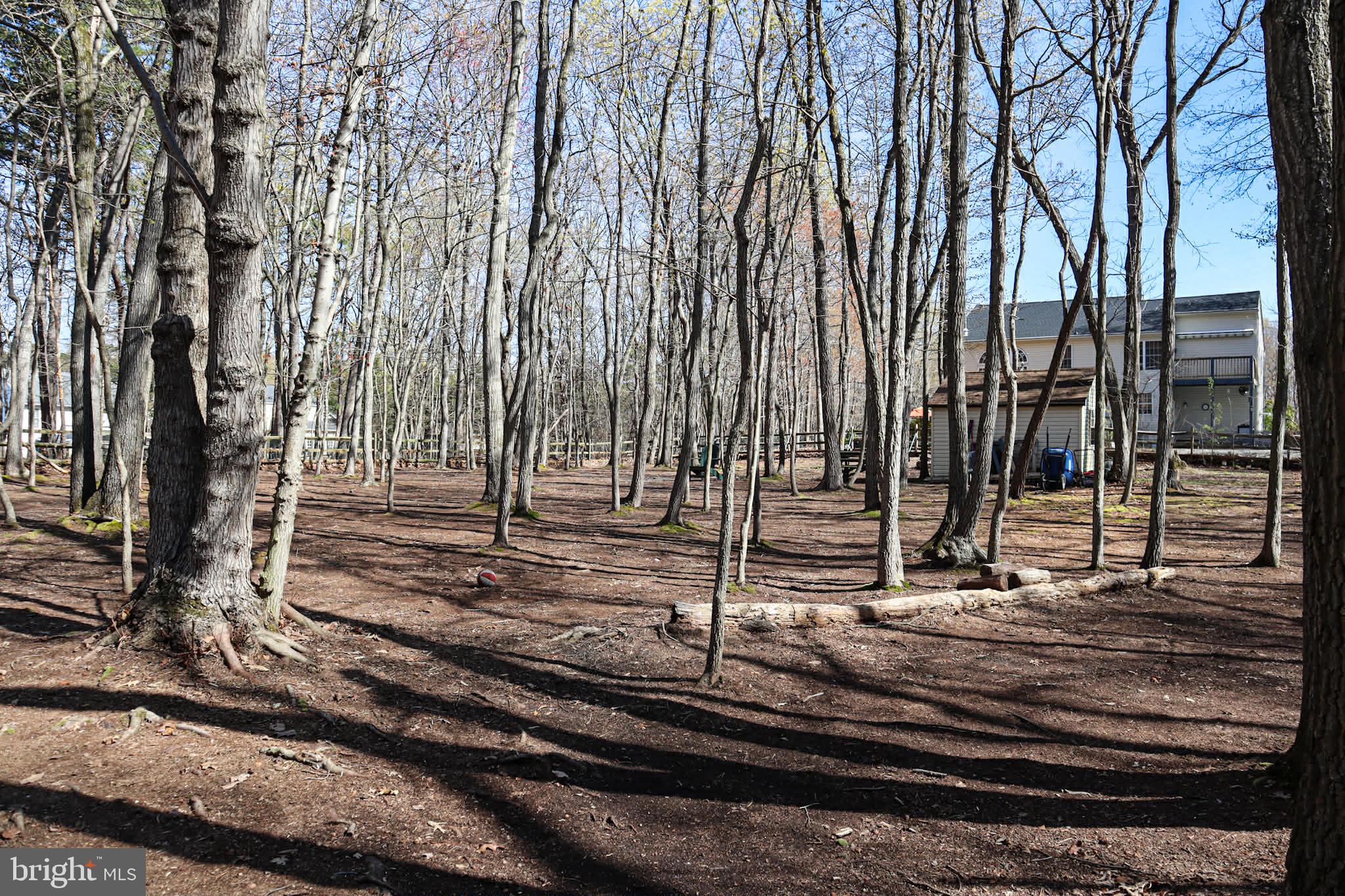 WHITAKER WOODS - Residential