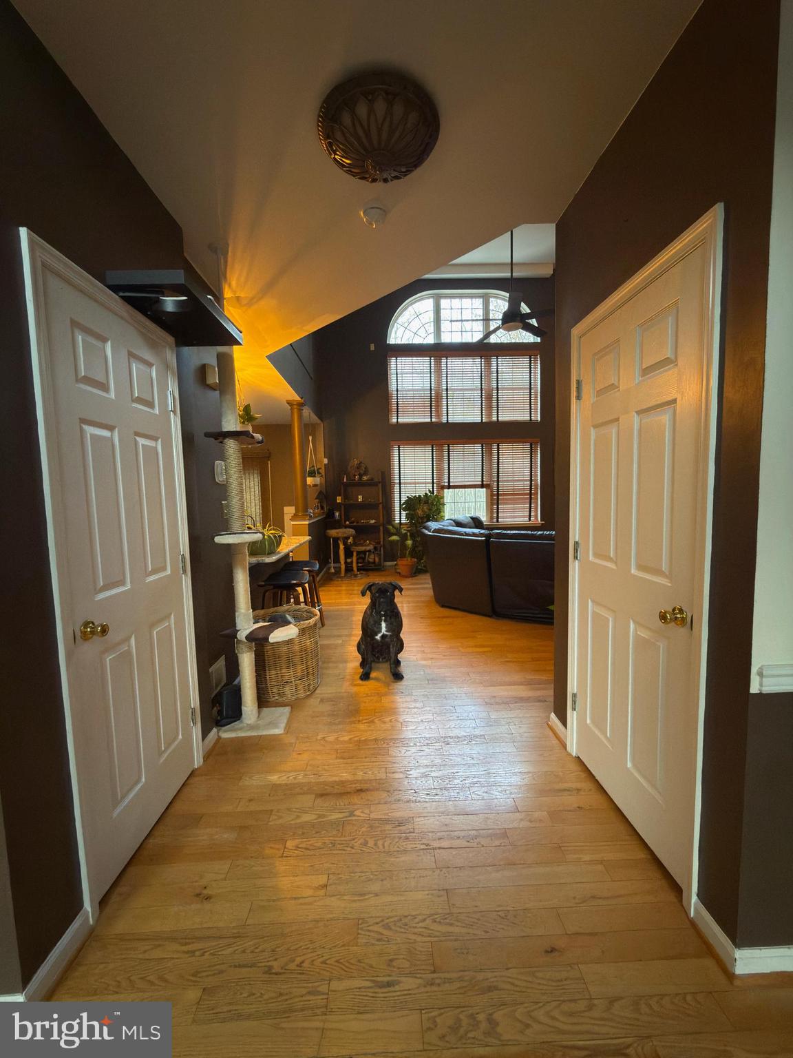 WHITAKER WOODS - Residential