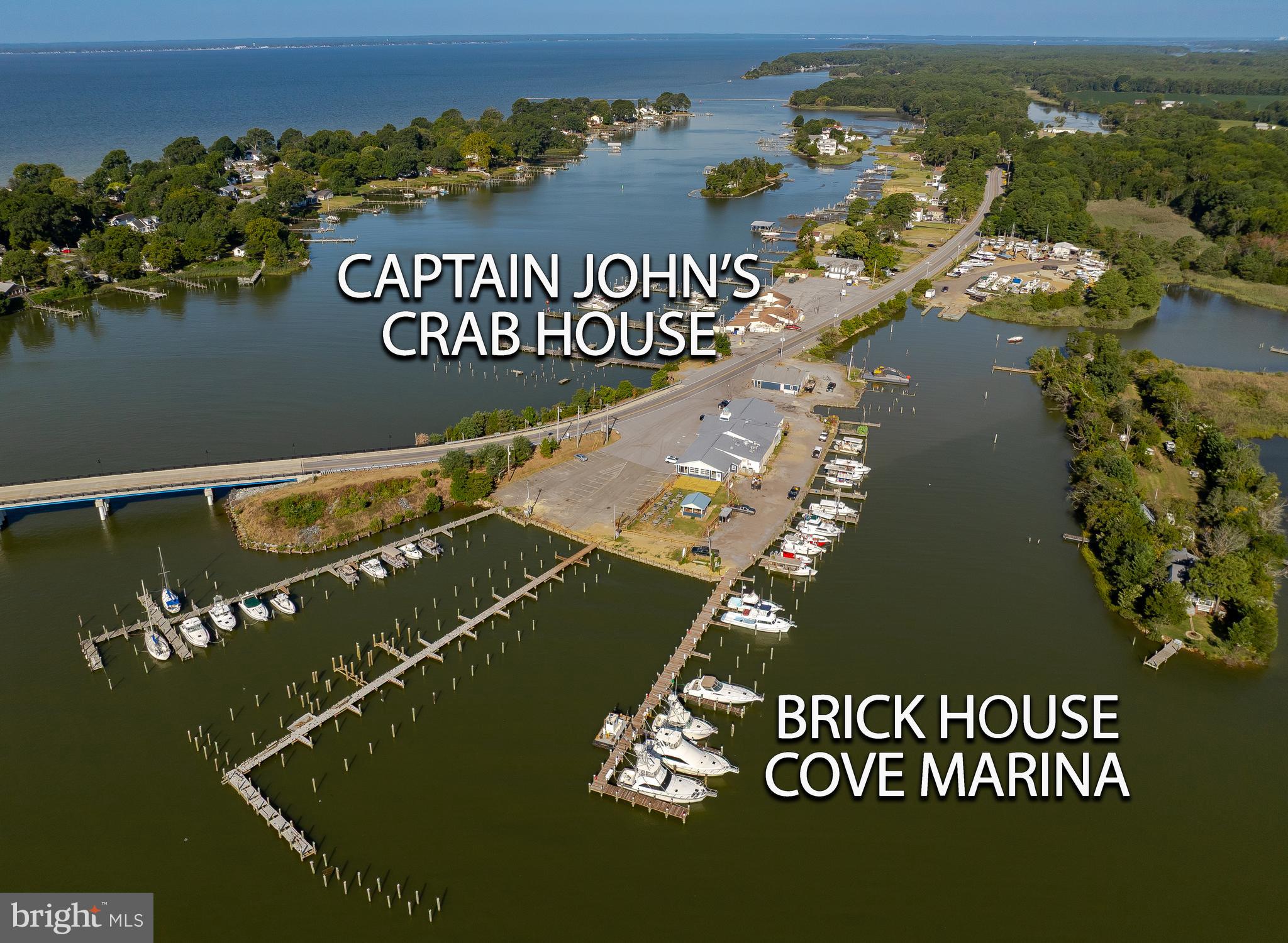 16157 COBB ISLAND ROAD