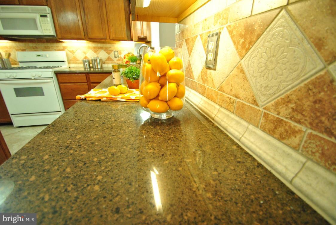 CHANTILLY HIGHLANDS - Residential