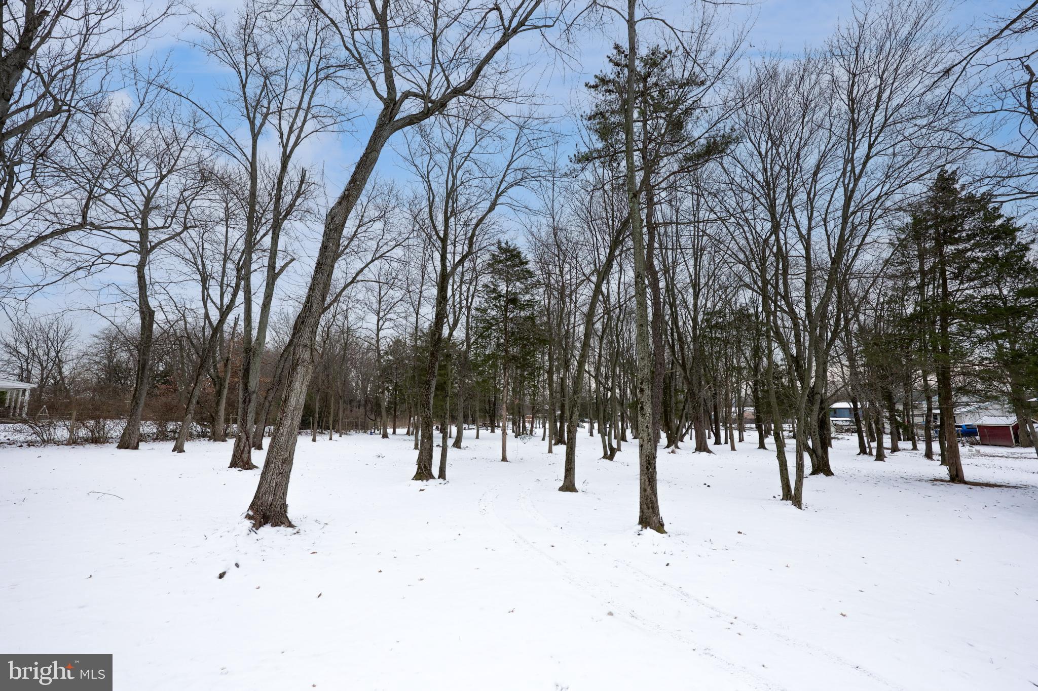 NONE AVAILABLE - Land