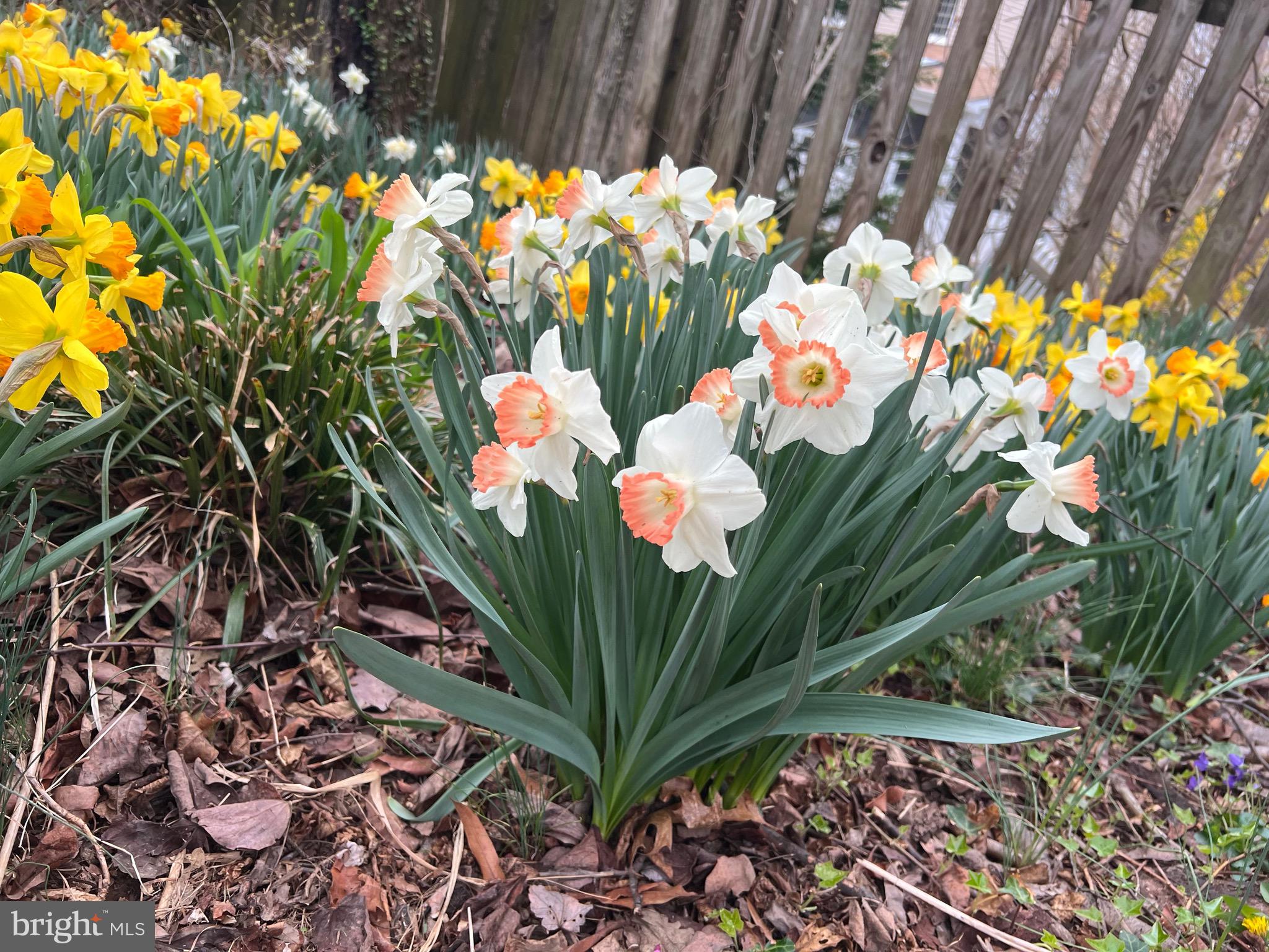 BEECHWOOD - Residential