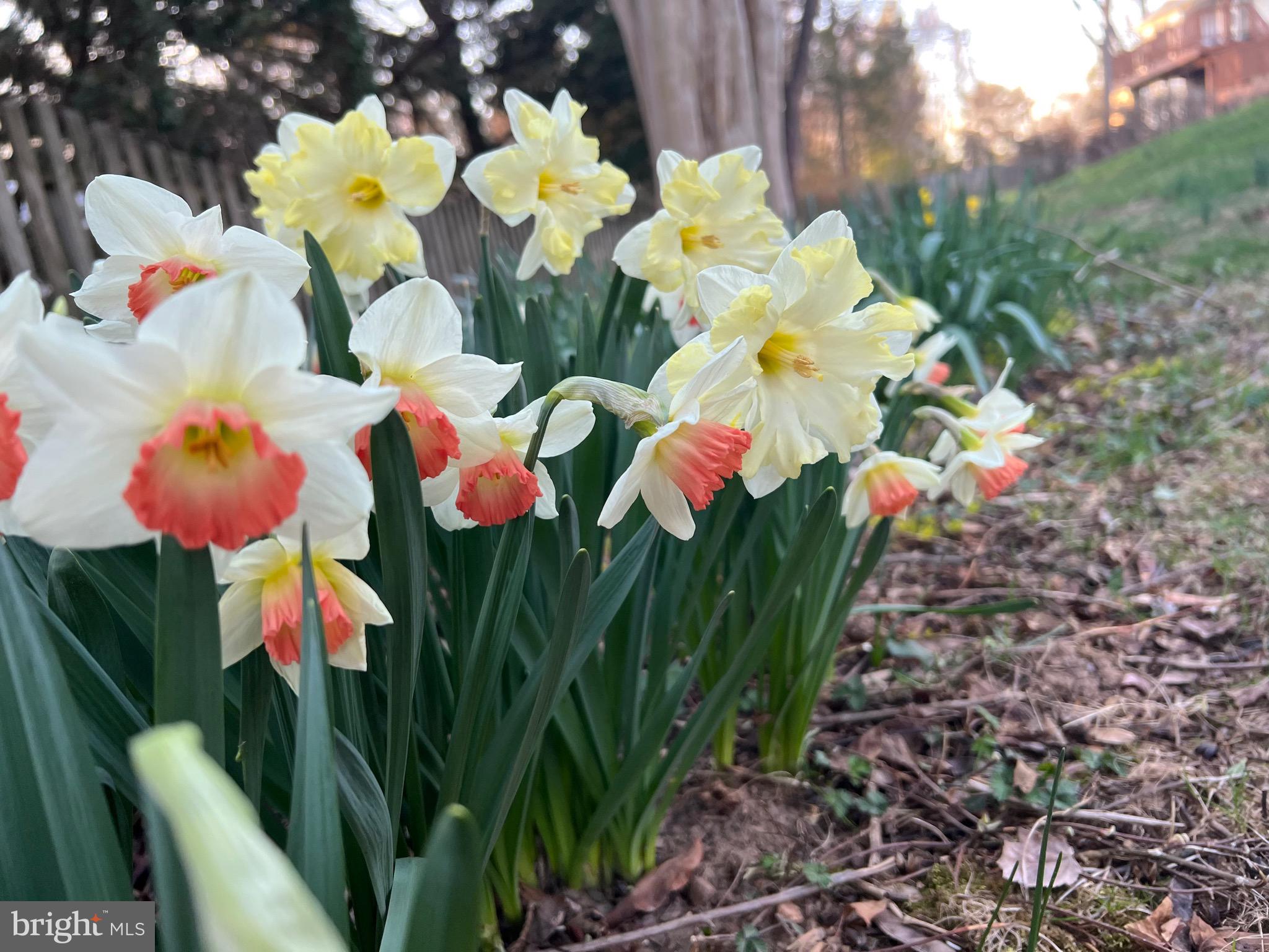 BEECHWOOD - Residential